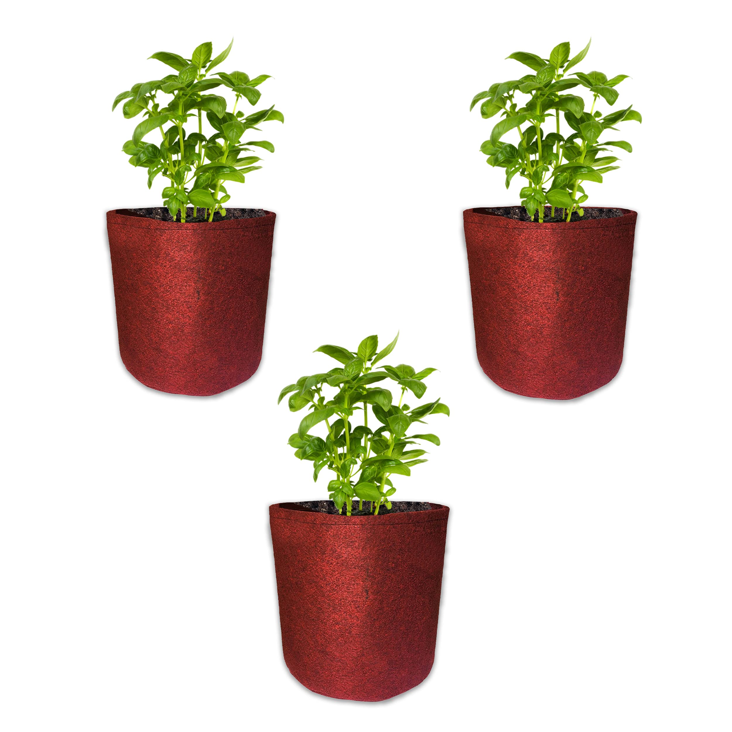 Bombay Greens ; Sow, grow, eat, repeat Bombay Greens Geo Fabric Grow Bags Premium 350 Gsm Bags For Terrace Kitchen Gardening - Set Of 3 6X6 Inches - Red (B0BK48D3PR) Amazon Price History, Amazon Price Tracker