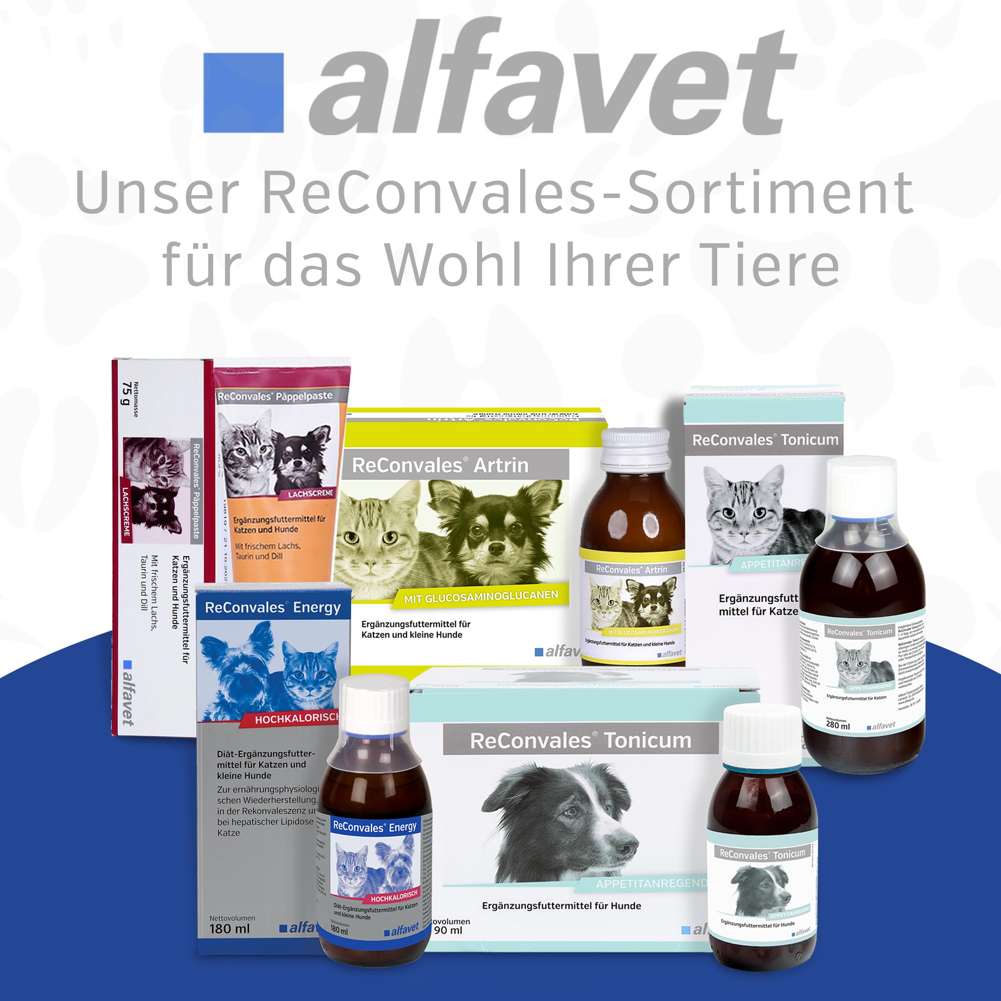 alfavet ReConvales Energy 180 ml