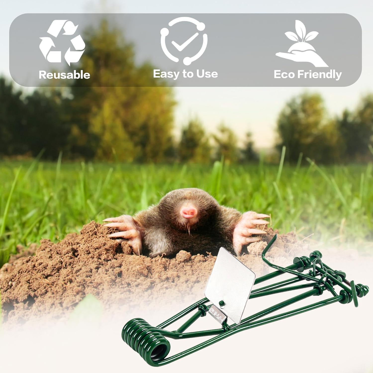 10 Pack Gopher Traps - Reusable Metal Gopher Trap, Easy Set Weather Proof Mole Vole Trap for Lawn Garden Farm Outdoor, Mole Traps