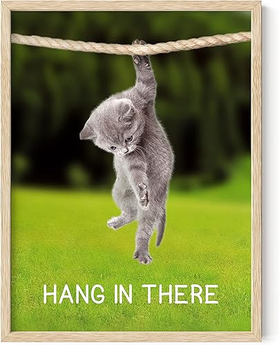Miniatura 1 de HAUS AND HUES Póster de gato con texto en inglés Hang in There Cat, divertido póster de gato, bonitos pósteres motivacionales, póster para colgar en