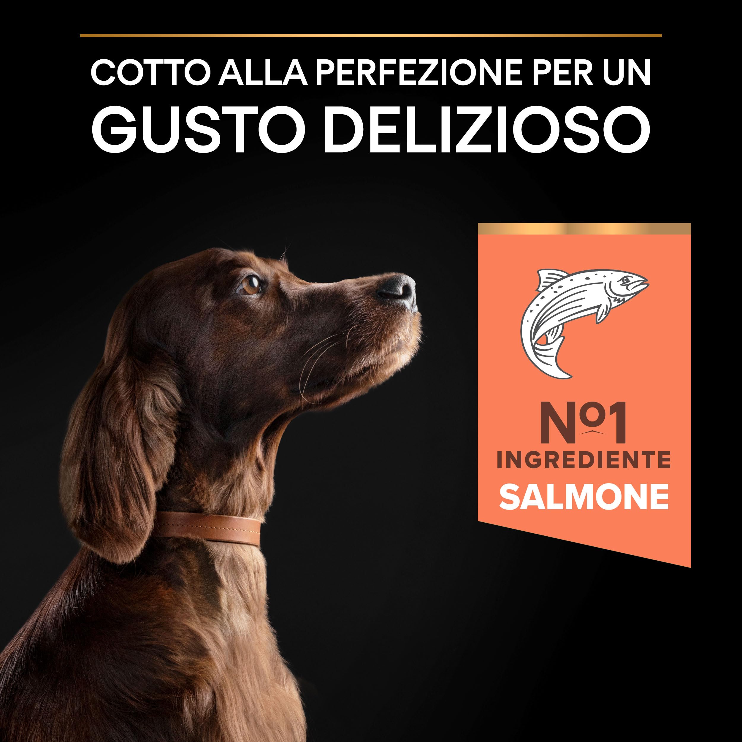 PURINA PRO PLAN Sensitive Skin Large Athletic Crocchette per Cani Adulti con Pesce Sacco da 14kg