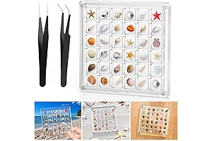 XANGNIER Acrylic Seashell Display Box: Showcase Your Treasures with Style