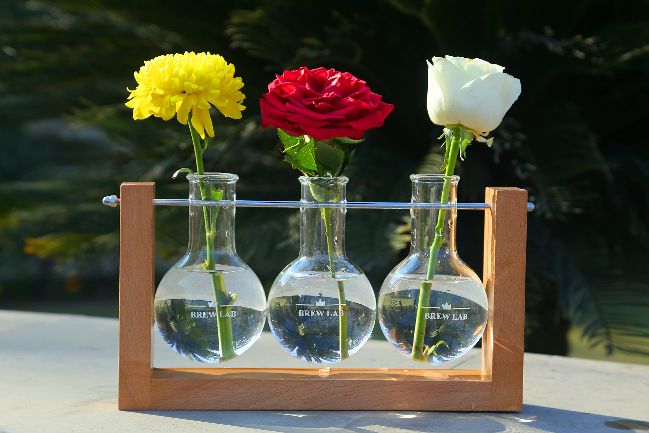 Brew Lab Hydroponics Flask Planter | Glass vase with Wooden Stand