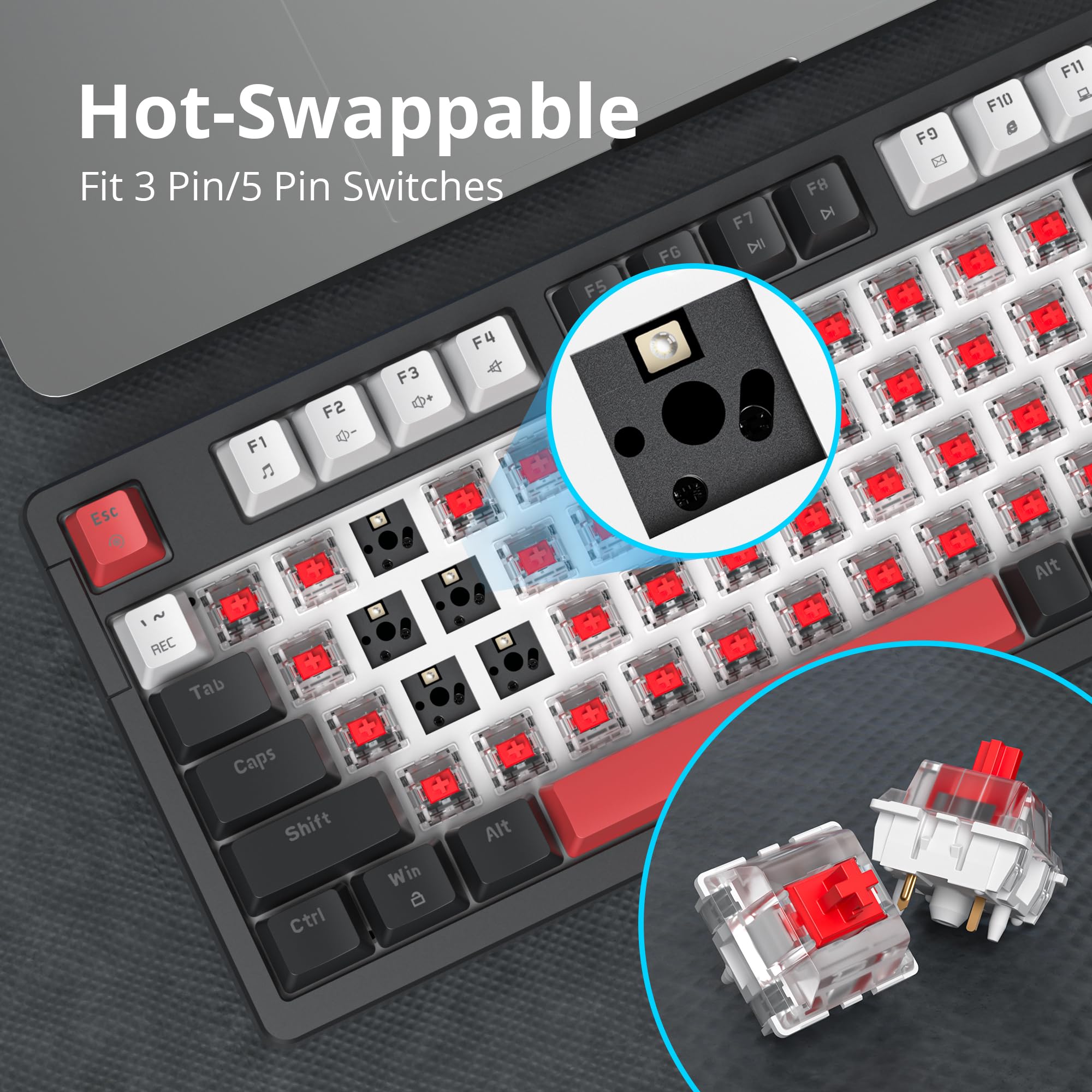 Amazon.com: surmen Creamy Keyboard with with Number Pad, 96% RGB