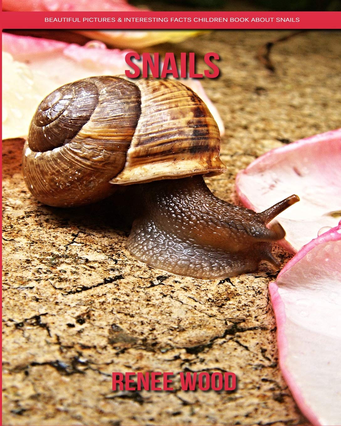 Buy Snails Beautiful Pictures & Interesting Facts Children Book About