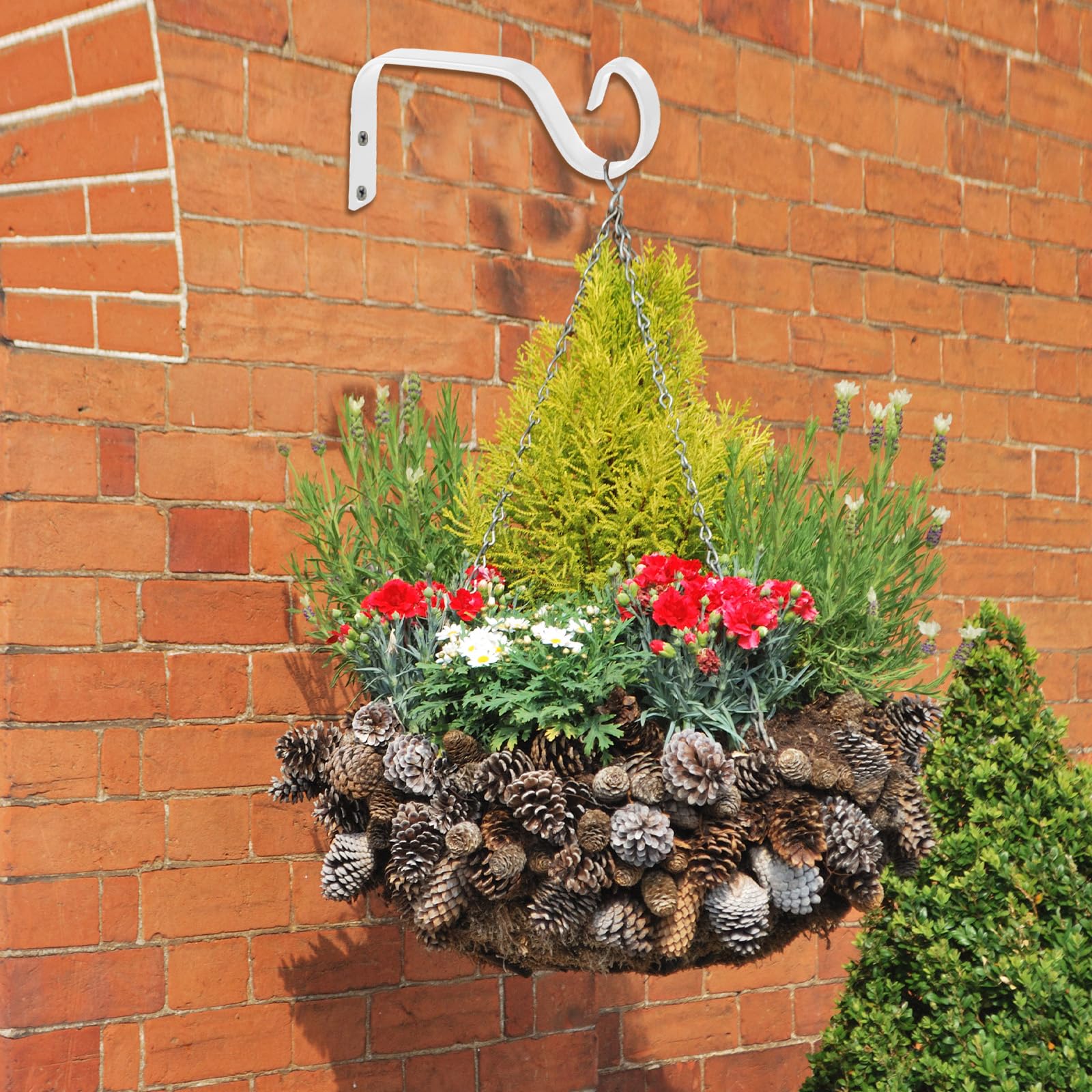 XILENY Holz Wandhalterungen 2er Set - Pflanzenhalter Für Garten & Wohnung