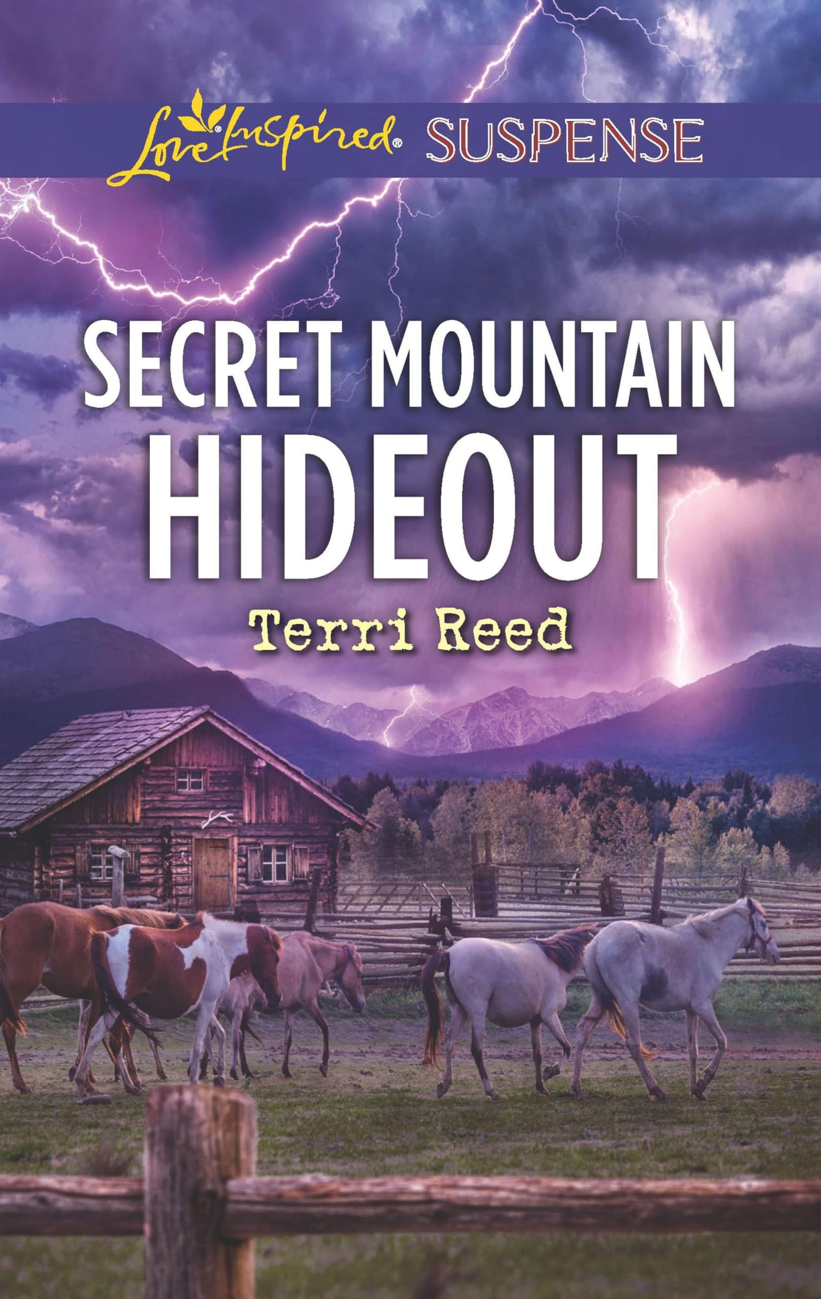 Secret Mountain Hideout (Love Inspired Suspense)