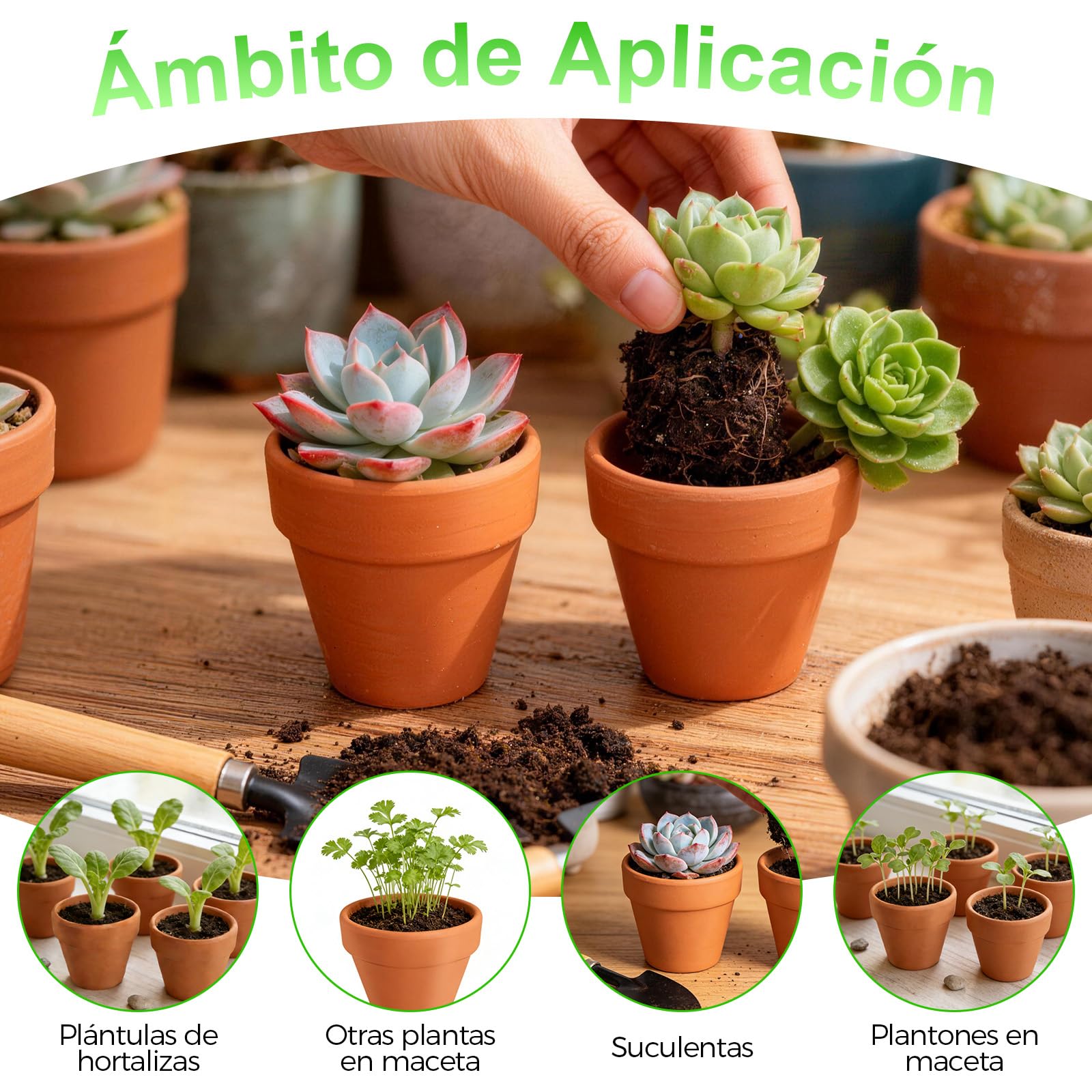 Valyrane Pack de 24 Macetas de Terracota de 5,5 cm con Agujero de Drenaje, Pequeñas Macetas Reutilizables para Suculentas, Cactus y Flores, Ideales para Manualidades en el Hogar y la Oficina - 5