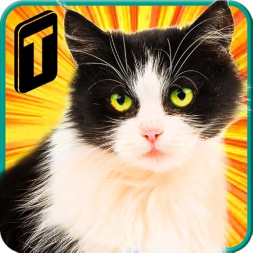 Street Cat Sim 2020