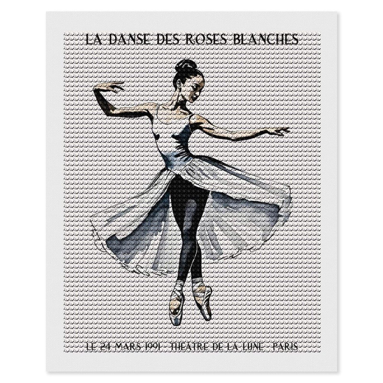 Junmoney Ballet Dancer in White Tutu Crystal Diamond Art Kit 16"x20", Modern Decor, Boho Decor, Wall Art Gift, Decorative Artwork, Creative Hobby