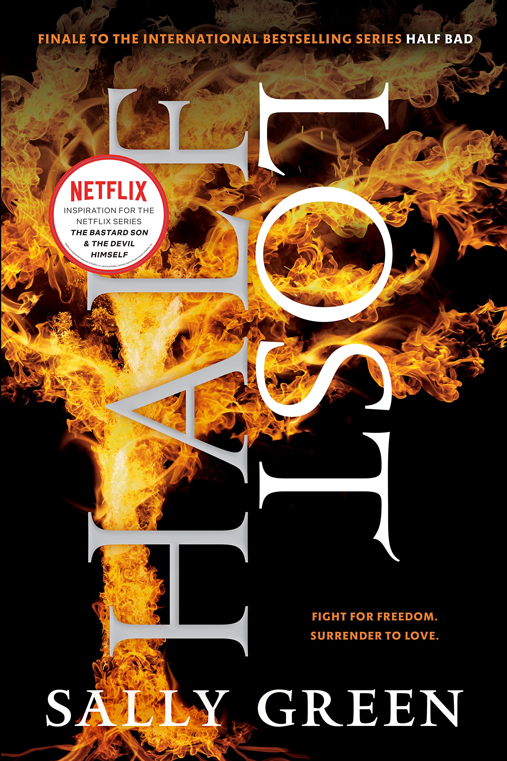 Half Lost (The Half Bad Trilogy Book 3)