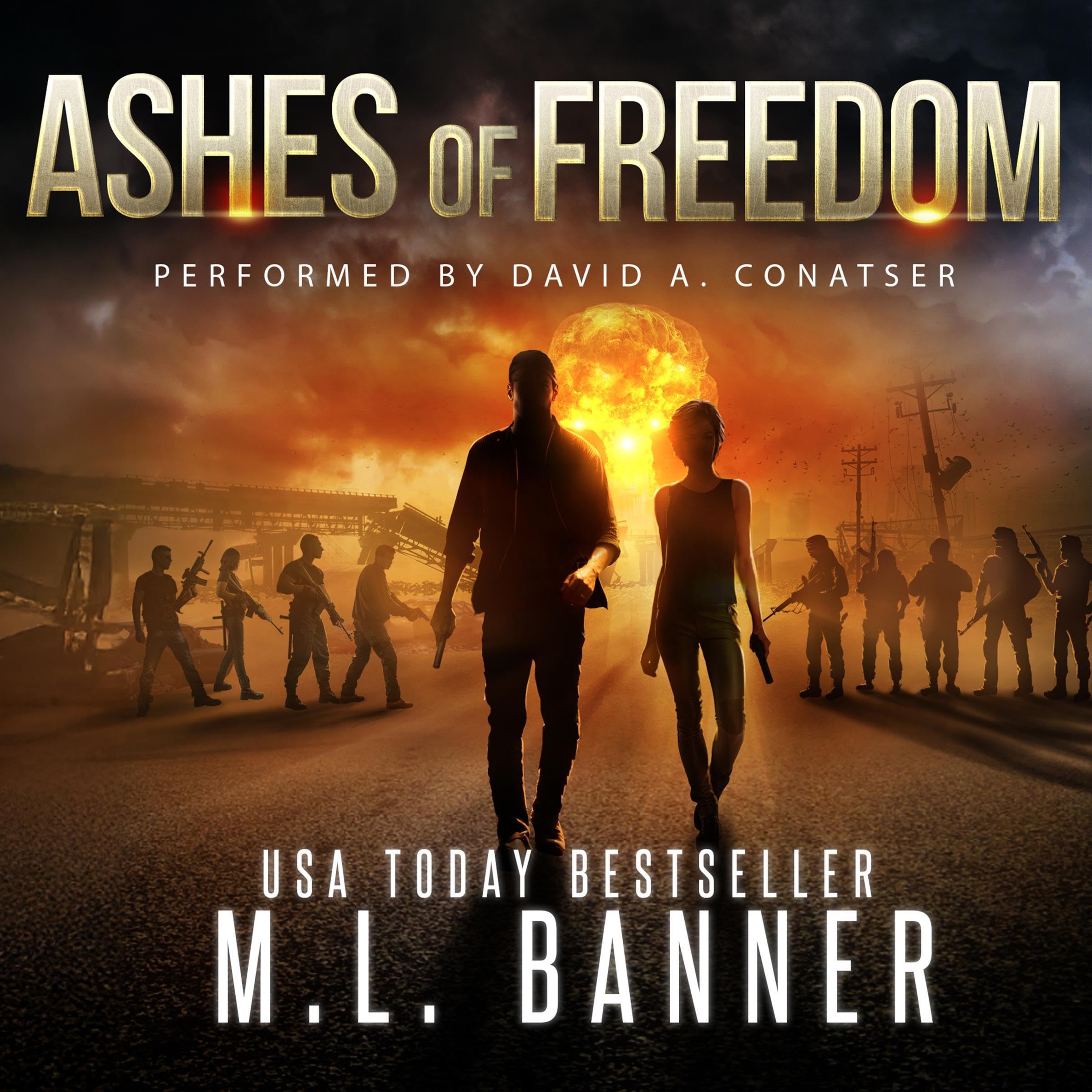 Ashes of Freedom