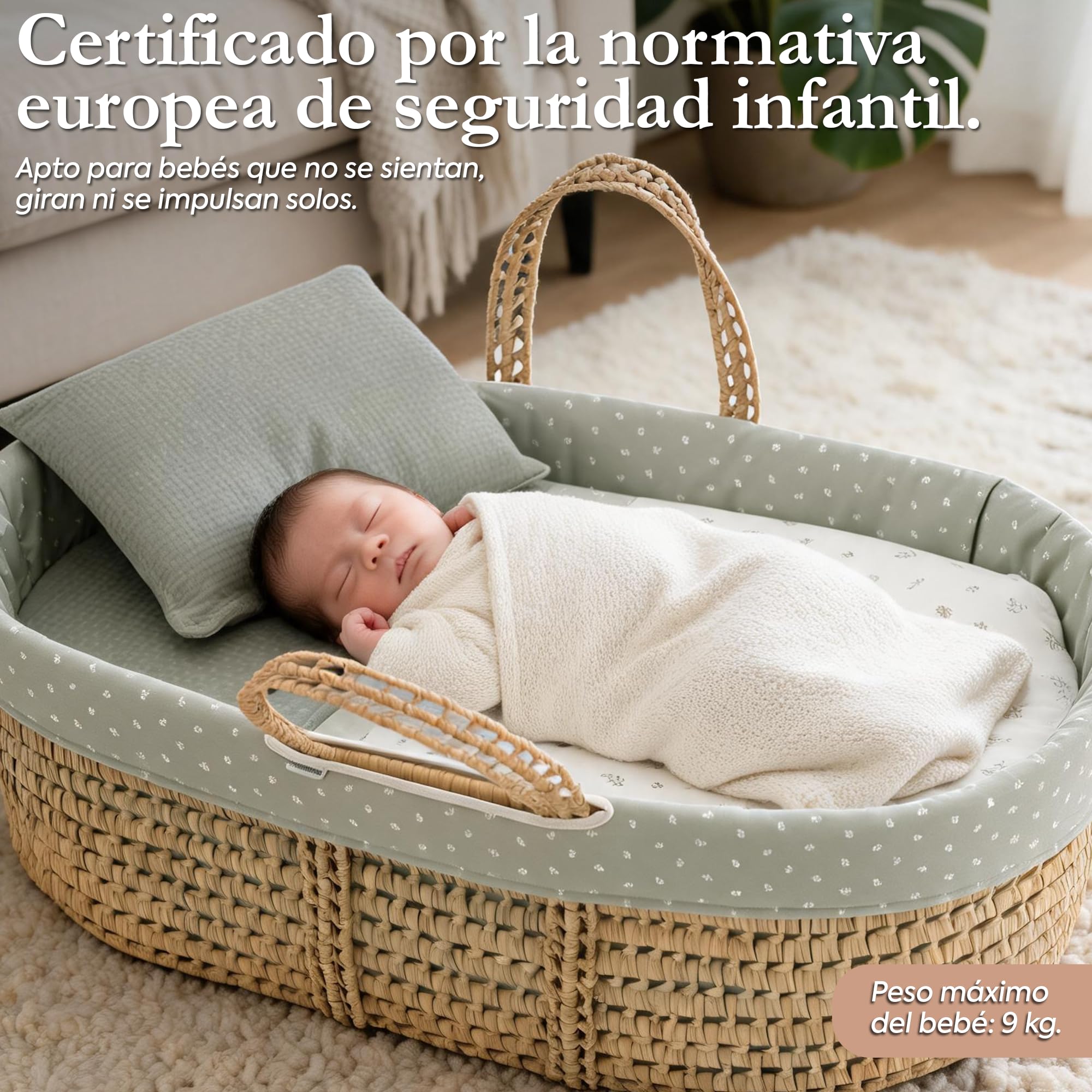 Cambrass Moises de Palma UNE Completo para Bebe Recien Nacido con Vestidura Acolchada y Colchon de Seguridad Higienica en Palma Tratada 39x80x25 CM Ardi Verde.