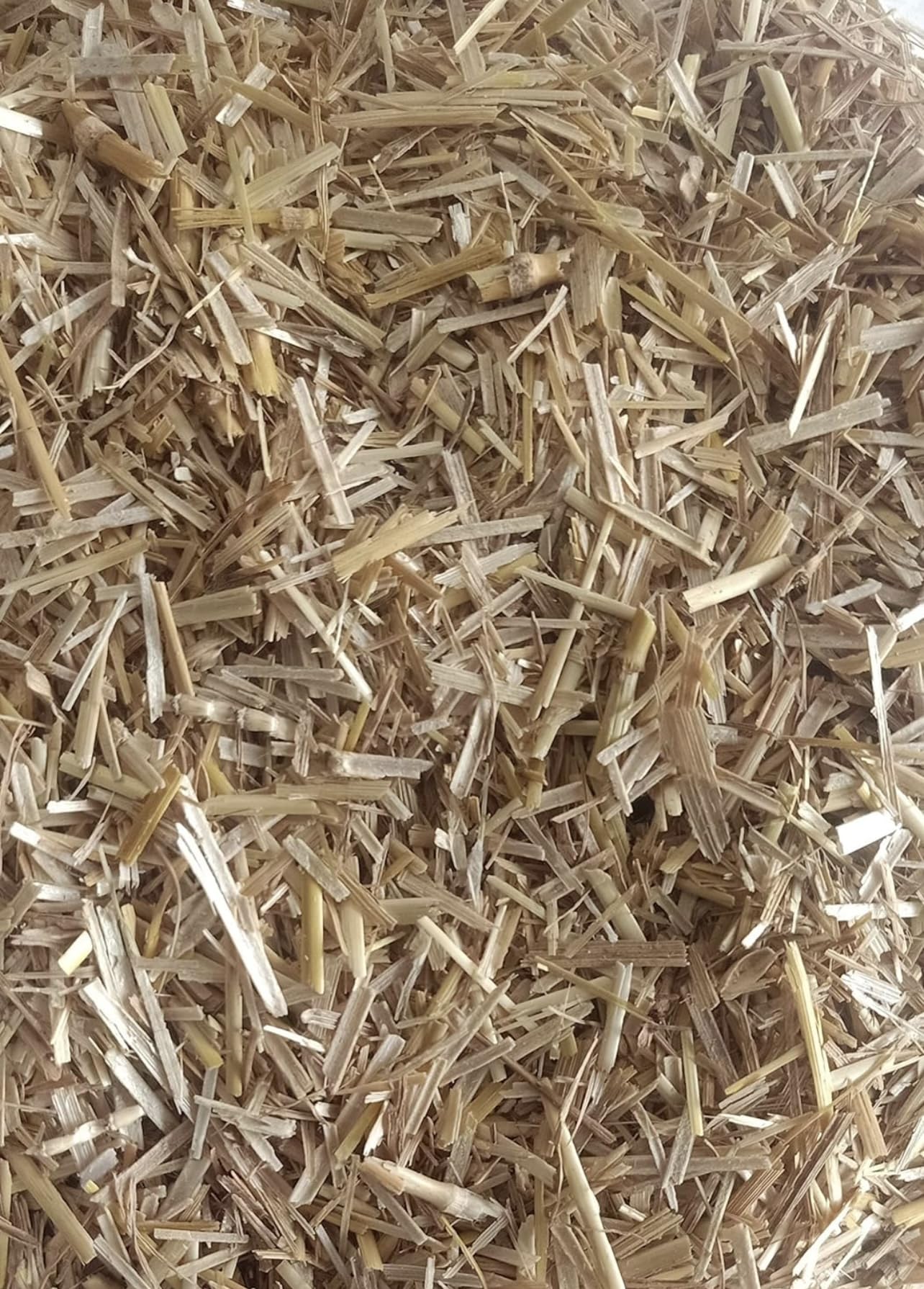 Wheat Straw in Cut Form for Mushroom Farming and Gardening/Wheat Straw, Wheat Straw Mulch/Wheat Straw for Mushroom - shrubs and General beds Mulch (1kg) (B0DFJXYK2B) Amazon Price History, Amazon Price Tracker