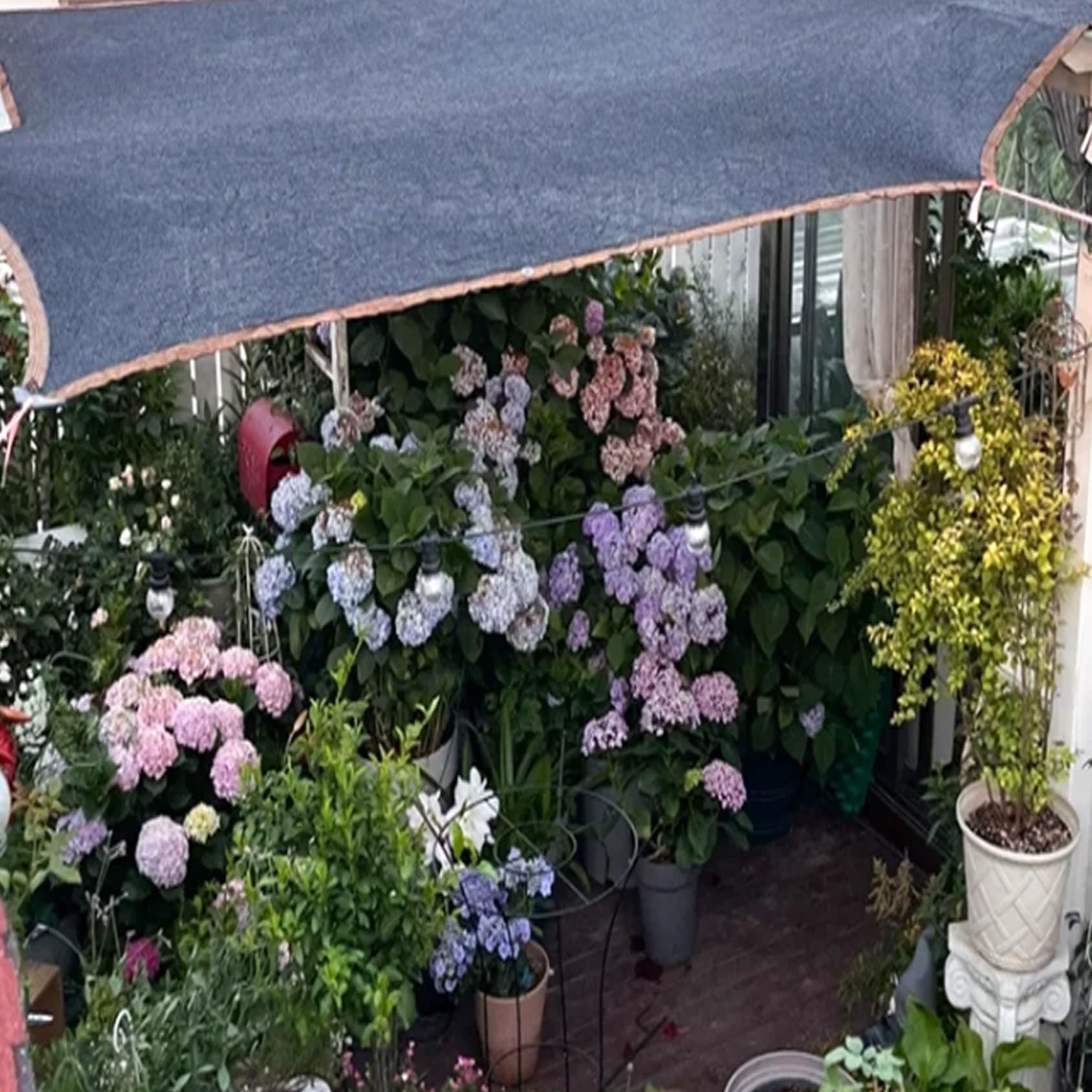UV-beständiges Gewächshausnetz für Gemüse & Sukkulenten – 80% Sonnenschutznetz mit Wärmeregulierung, 5 m schwarz – ideal für Gartenarbeit und Pflanzenpflege im Freien