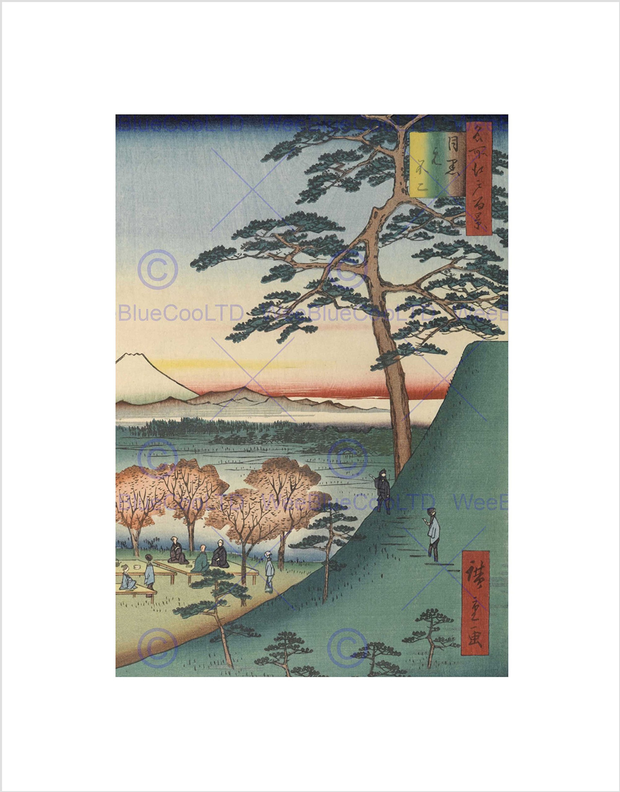 Wee Blue Coo Original Fuji Meguro Views of Edo Hiroshige Woodblock Wall Art Print