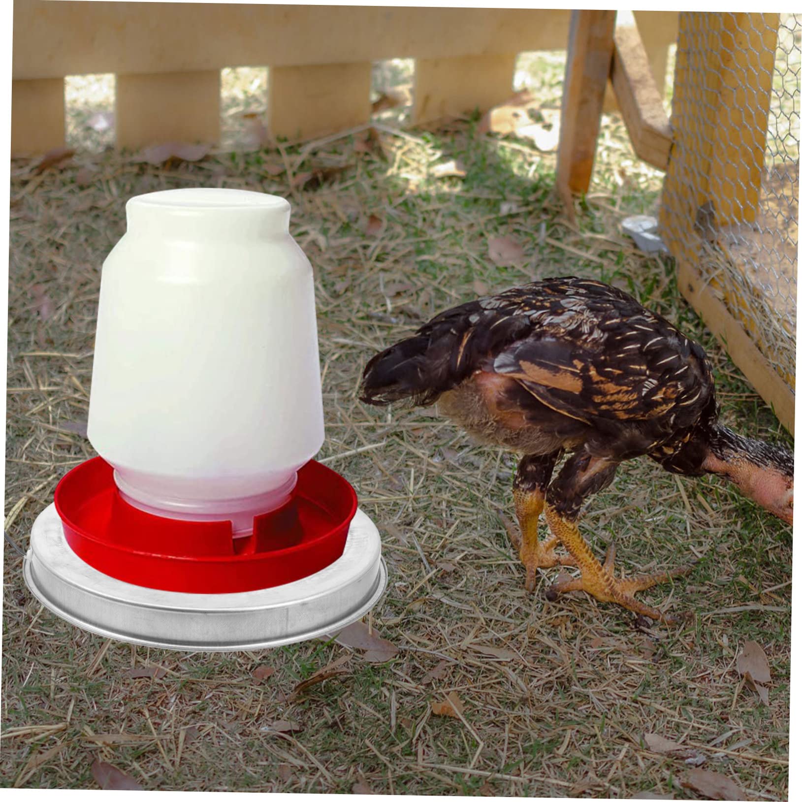 Base Calefactora para Bebederos de Aves de Corral en Invierno | Metal, Control Termostático, Desconexión Automática de Seguridad, para Bebedero de Mascotas y Aves