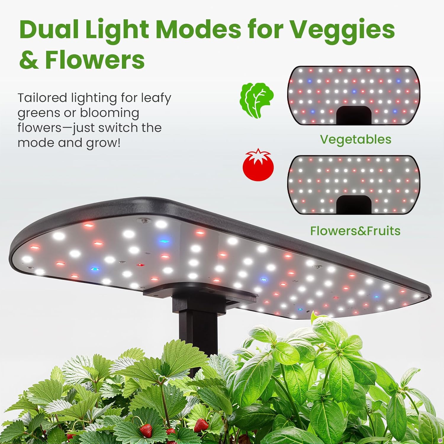 litokam 12-Pod Hydroponics Growing System Kit with LED Grow Light, 24W 3.5L Indoor Herb Garden Planter with Quiet Water Pump, 24H Timer 2 Grow Modes Hydroponics Garden for Home Kitchen Office Gifts