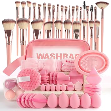67Pcs Pink Makeup Brushes Set for Girls Professional Brochas De Maquillaje Makeup Brush Set with Storage Case Suitable for Loose Powder, Blush, Portable Travel Make Up Brush Kit