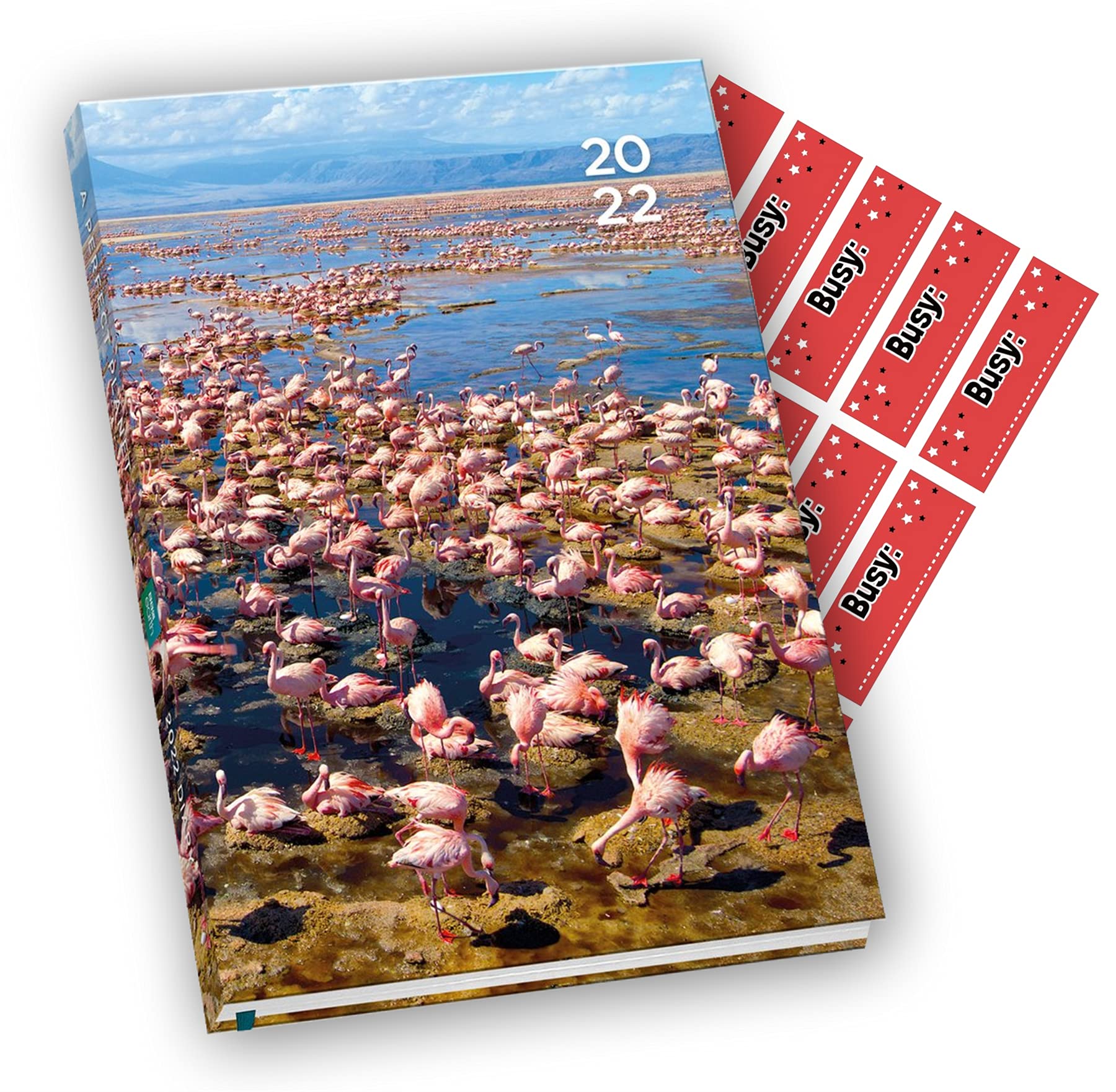 Official BBC Earth Perfect Planet 2022 Diary A5 Hardback Gift Present with Free Organising Stickers