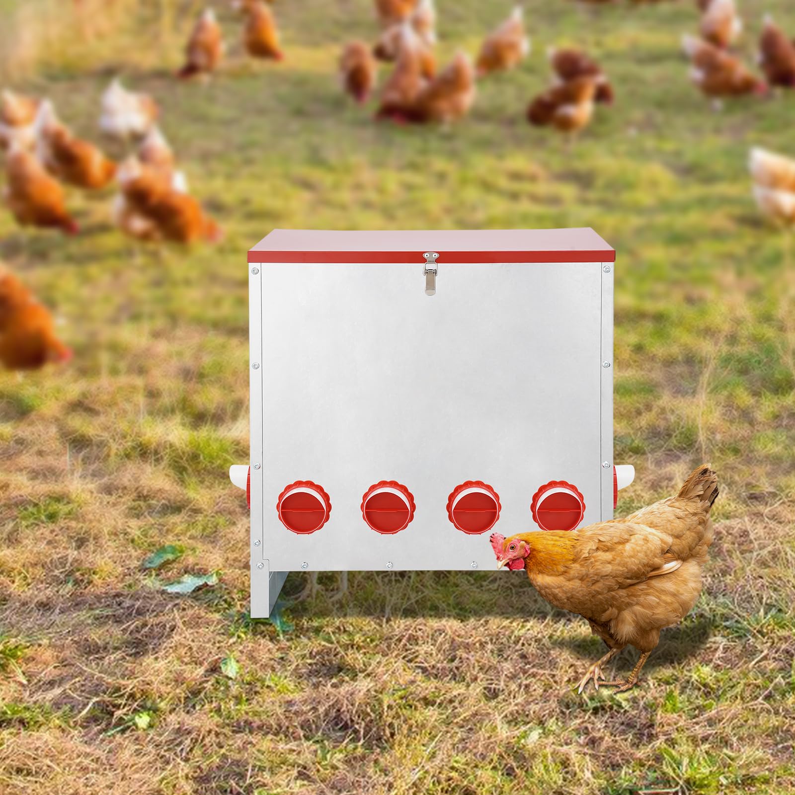 Mangiatoia automatica per polli con 10 fori, con capacità di 30 kg, mangiatoia per polli in metallo zincato, mangiatoia automatica per polli da terra