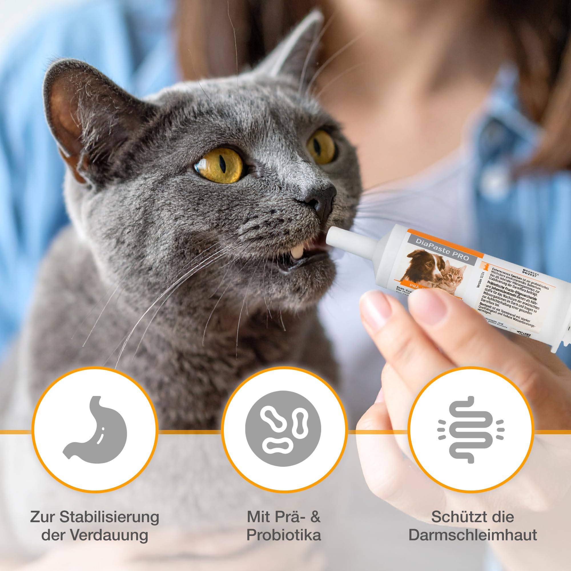Alfavet DiaPaste Pro mit Injektor | 60 ml | Diät-Ergänzungsfuttermittel für Hunde und Katzen | Prä-/Probiotikum zur Stabilisierung der physiologischen Verdauung & der Darmflora