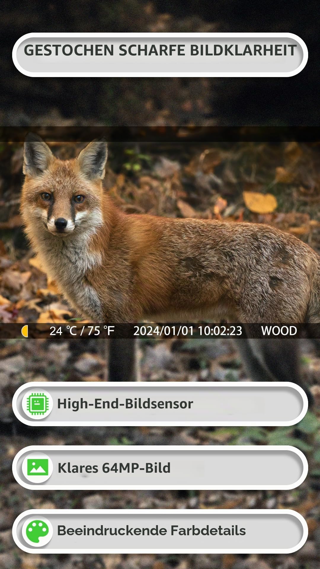 GardePro E8P Wildkamera WLAN und L800D Akku-Set