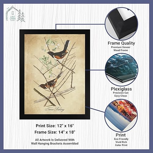 Vista 2 de Towee Bunting by James Audubon - Marco biselado negro de 12 x 16 pulgadas, decoración artística enmarcada para pared, reproducción de pinturas
