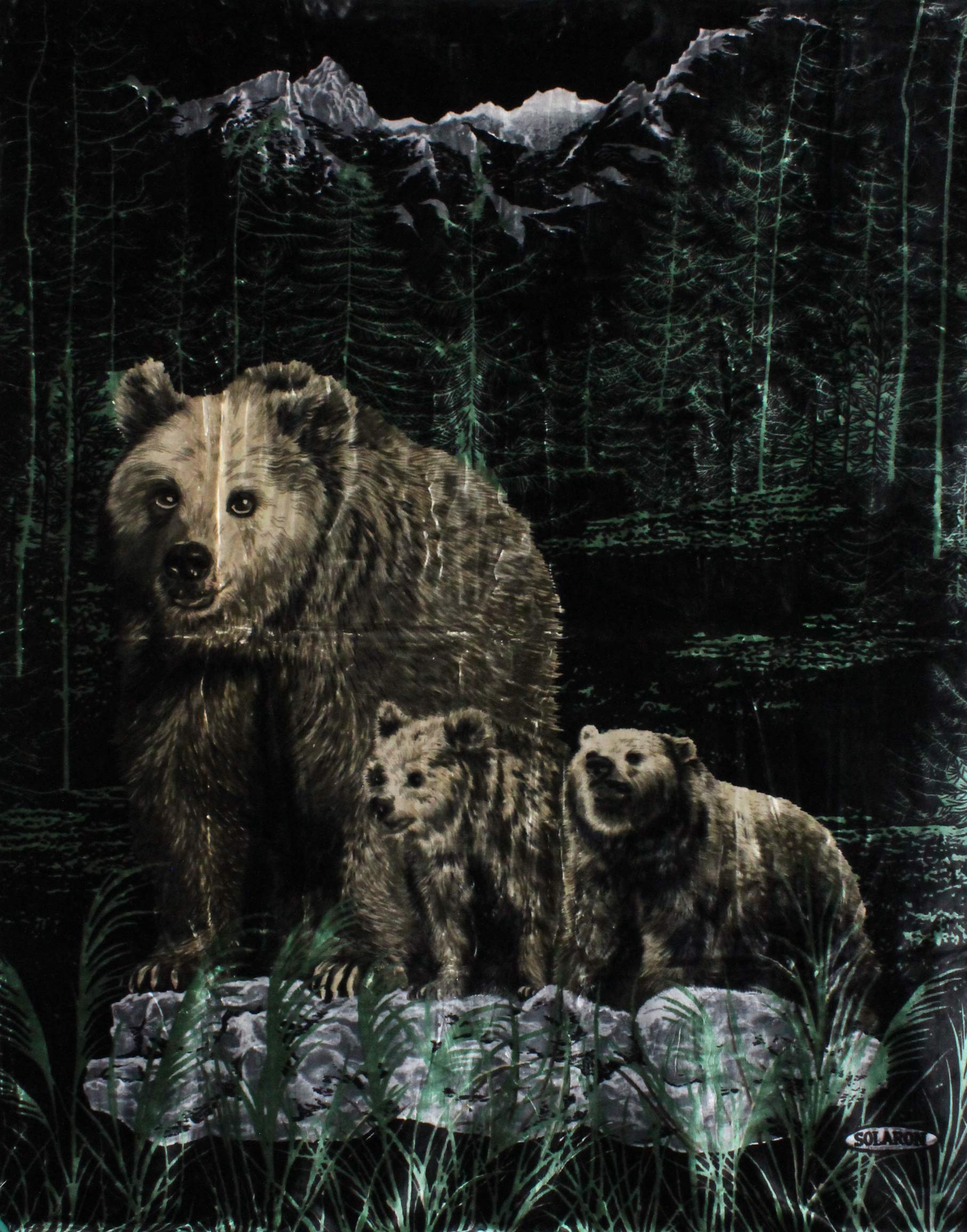 Buy SOLARON Korean Super Thick Heavy Weight Mink Blanket (Queen, Bear