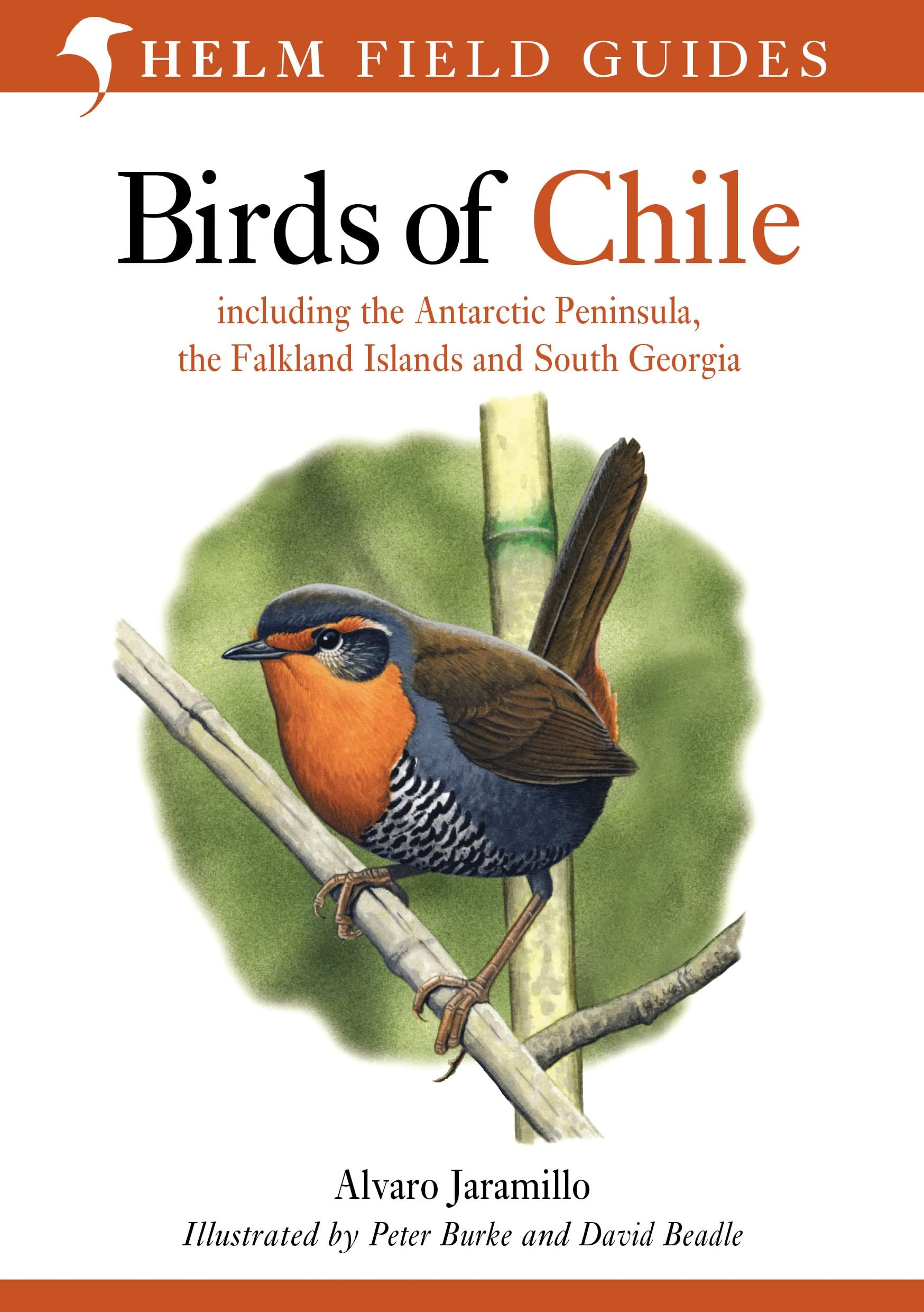 Birds of Chile by Alvaro Jaramillo (Paperback Book)