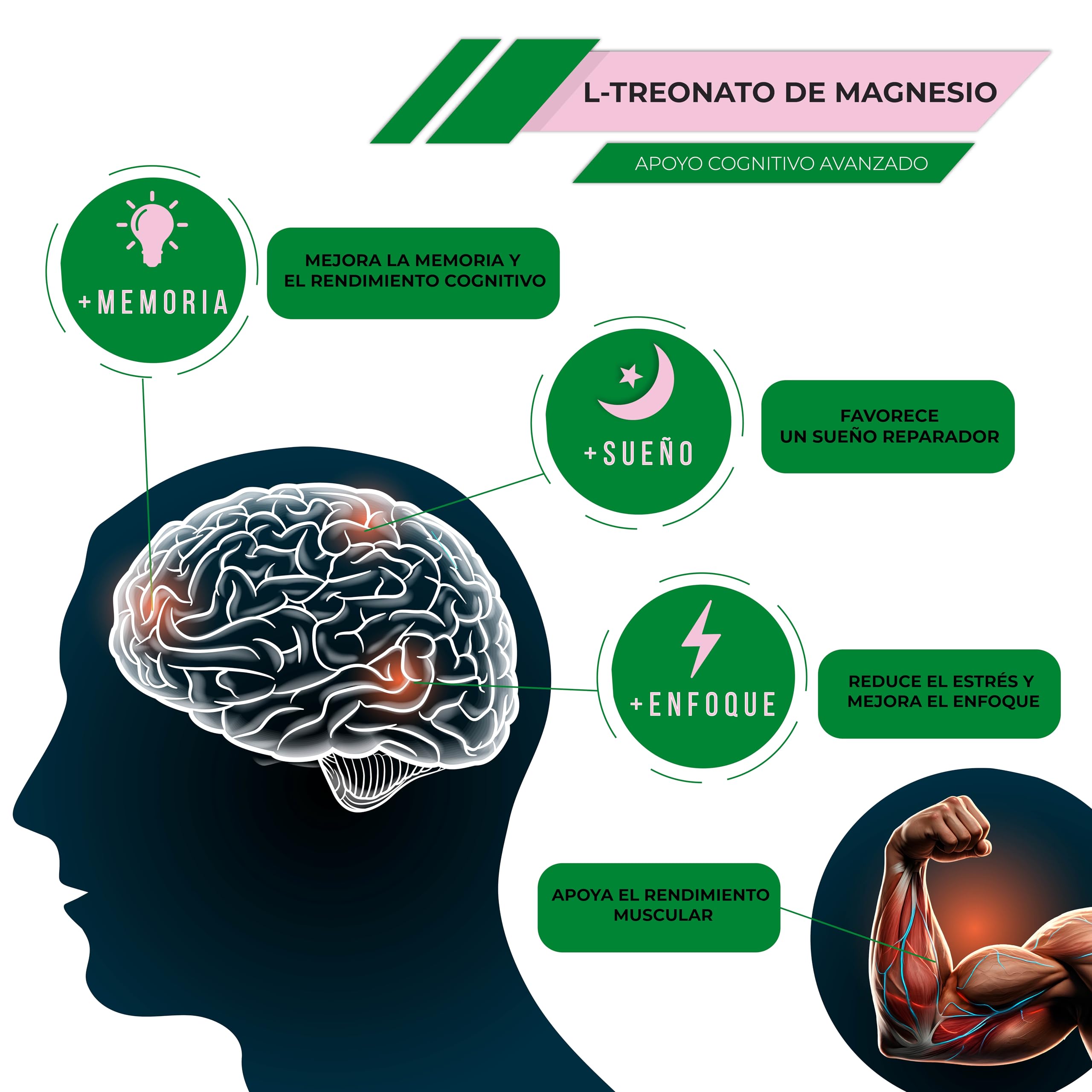 L-Treonato de Magnesio Magtein® 2000 mg – 90 Cápsulas Fórmula Clínica Aprobada EFSA – Mejora la Memoria, Concentración, Claridad Mental, Salud Cerebral y Mejora del Sueño - Magnesium L Threonate