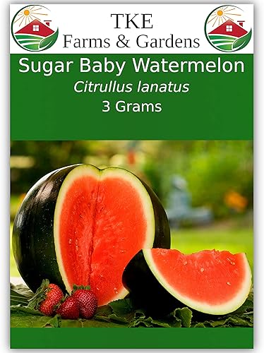 TKE Farms - Semillas de sandía Sugar Baby para plantar, 0.11oz aprox. 85 semillas, Citrullus lanatus