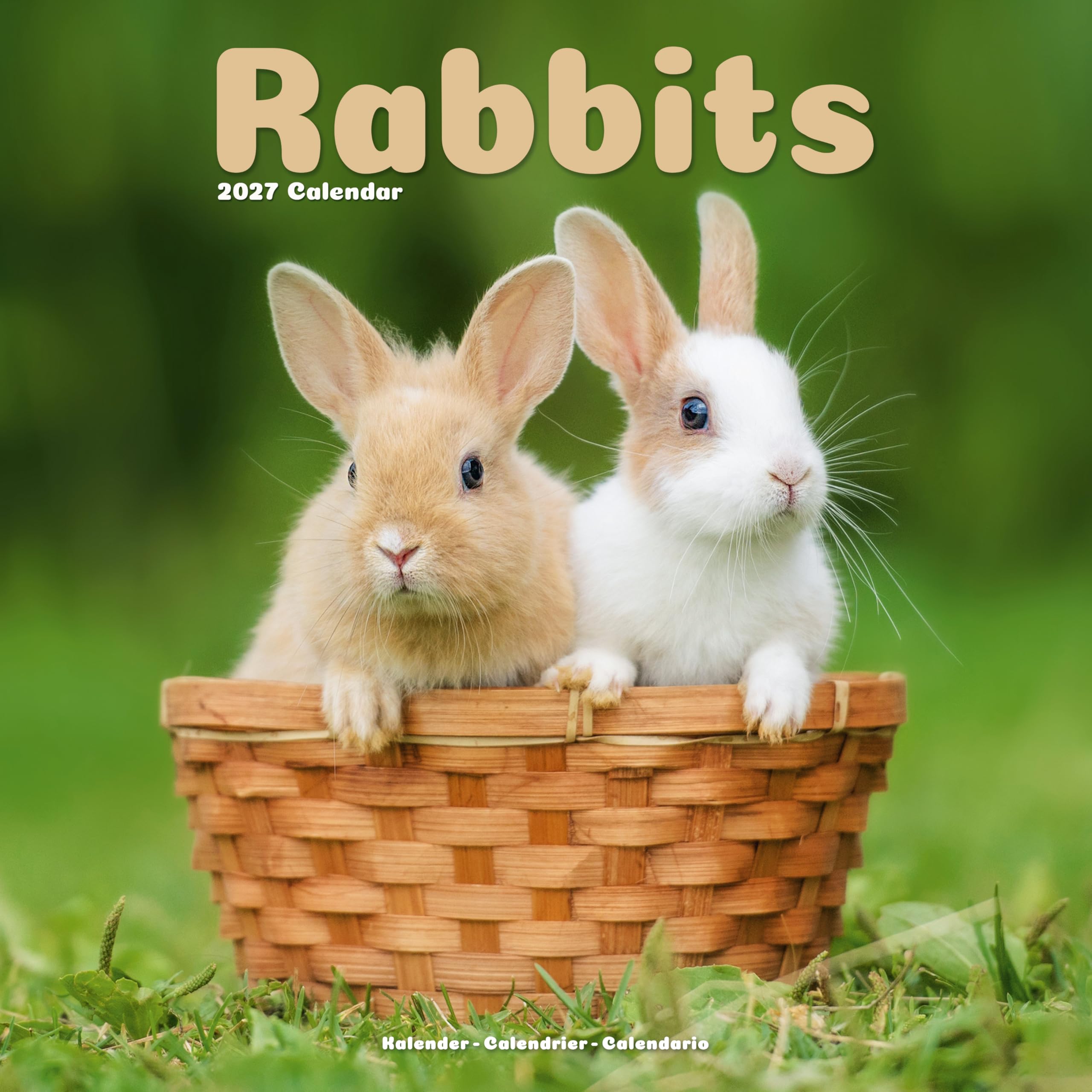 Rabbits 2027 Calendar | Square Wall Calendar | Animal Gift | Plastic Free Packaging | by Avonside Publishing