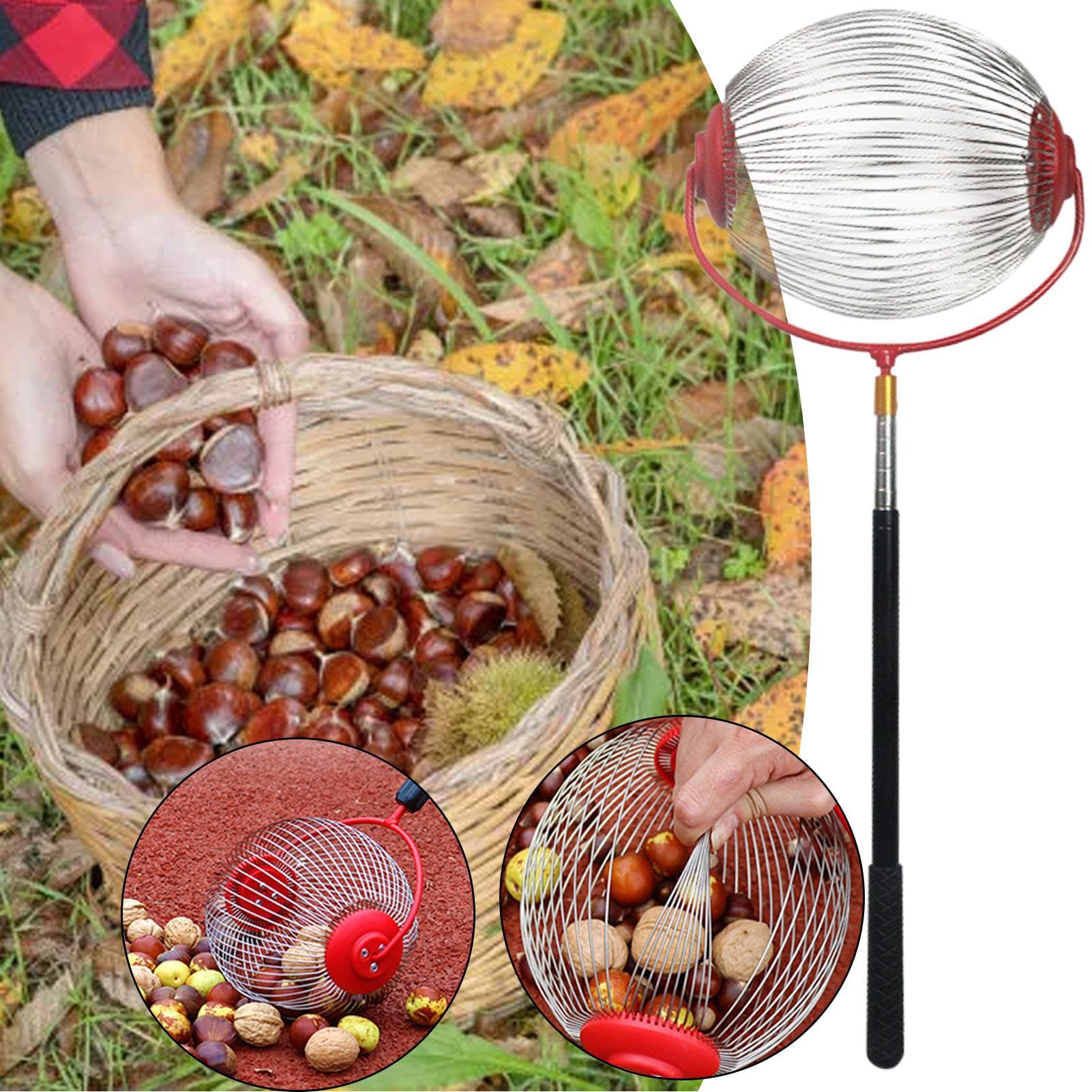 Raccoglitore di Noci, 150 x 24 x 20 cm Raccoglitore di Noci con Asta | telescopico, Rotolo Raccoglie Frutta in Acciaio, Rotolo Raccoglie Nocciola, Attrezzi da Giardinaggio per Fattoria Famiglia