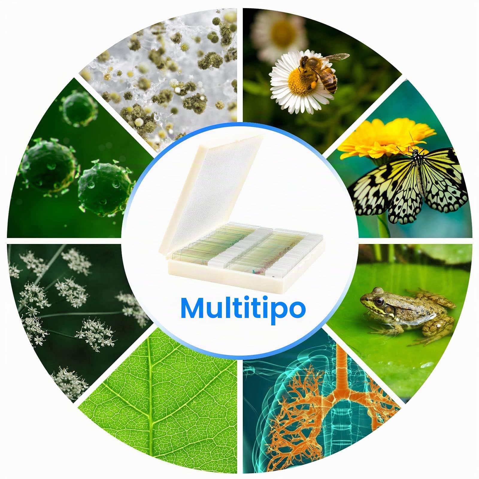USCAMEL Muestras Microscopio, 100 portaobjetos de microscopio preparados con muestras para niños y Adultos