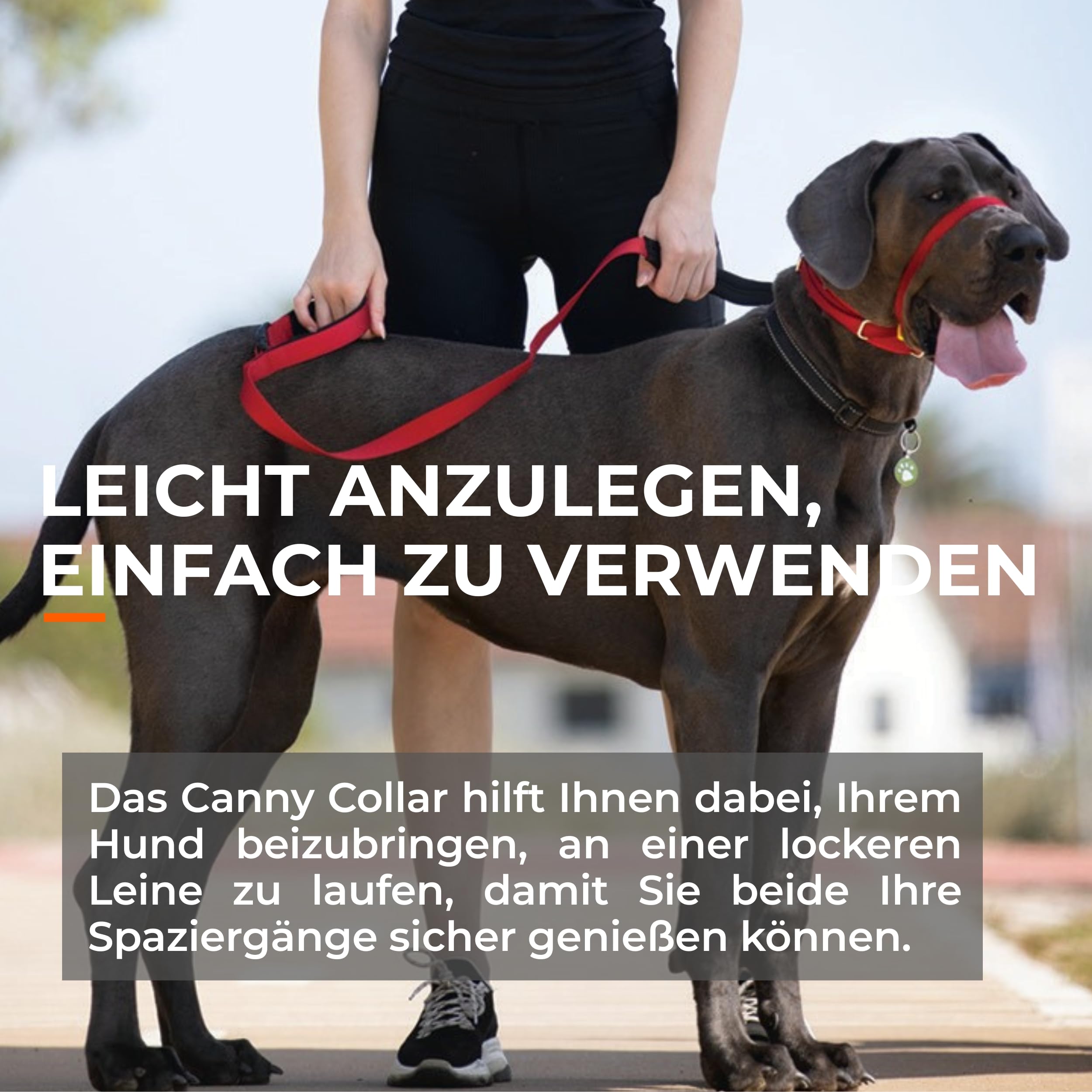 Canny Collar Hundehalsband | Für bessere Leinenführigkeit, lockeres Laufen an der Leine, mehr Kontrolle & entspannte Spaziergänge ohne harte Korrektur.
