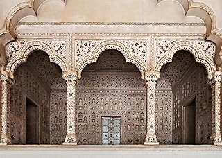 CORFOTO 7x5ft Fabric Agra Red Fort Backdrop Asia India Islamic Carved Architecture Arche Doors Background Asian Indian Theme Travel Party Decorations Photo Booth Studios Prop Wallpaper