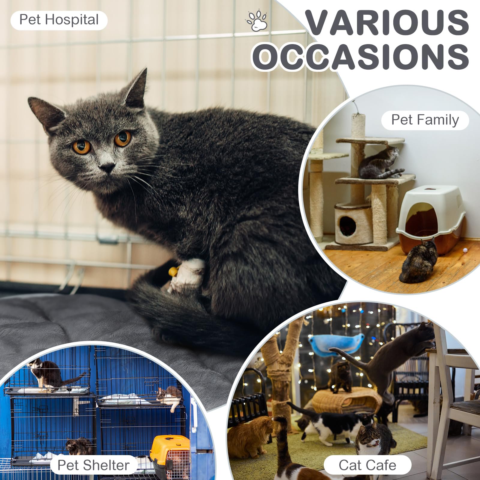 8 alfombrillas autocalentables para gatos de 16 x 20 pulgadas, almohadilla térmica cálida para jaula de mascotas, refleja el calor corporal, lavable, cama para perros y gatos, manta para