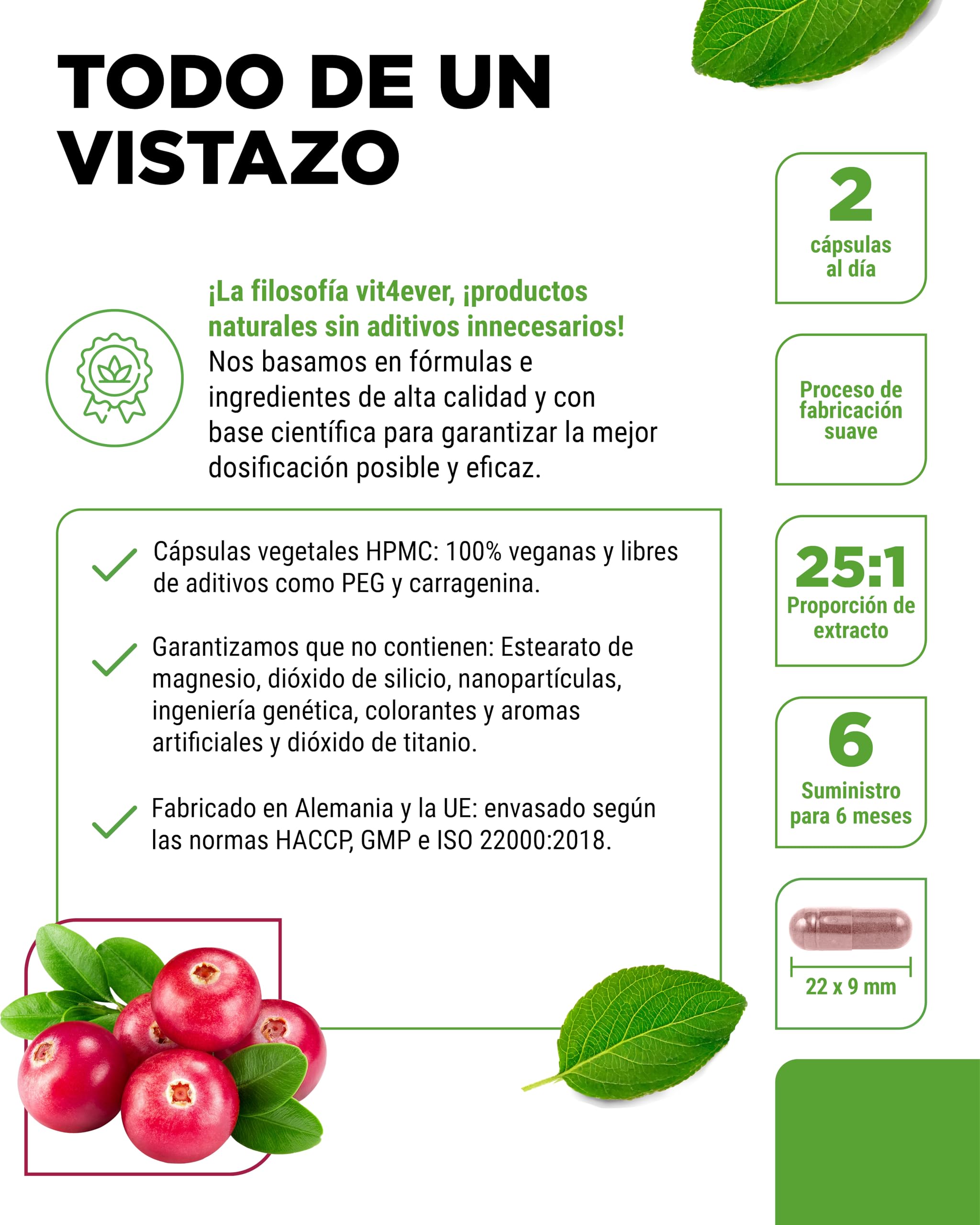 Extracto de arándano rojo + Vitamina C – 365 cápsulas de arándano rojo – Extracto 25:1, equivalente a 25.000 mg – 6% proantocianidinas – Alta dosis, sin aditivos indeseados, vegano