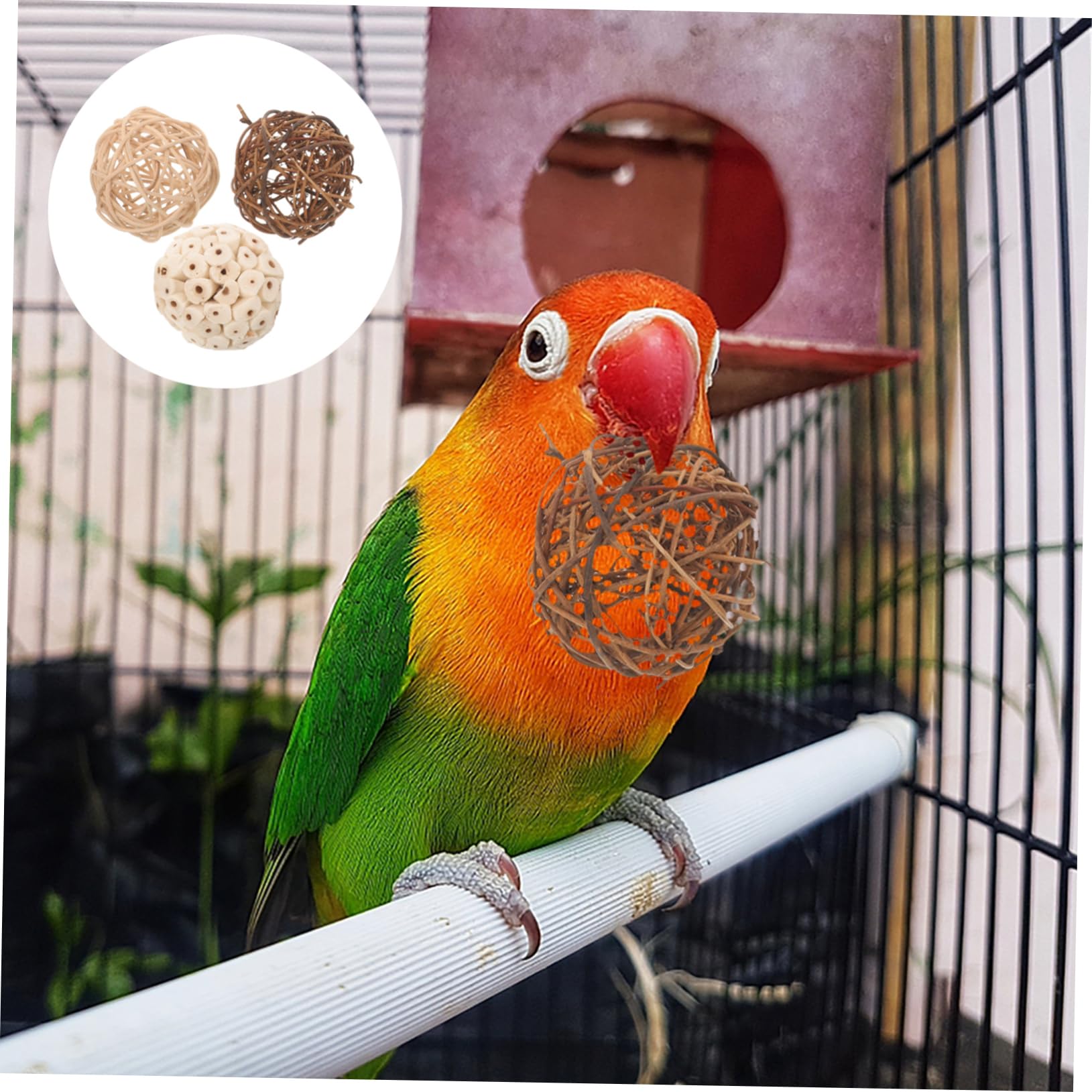 Toddmomy 36pièces Jouets à Mâcher pour Oiseaux De Balles à pour Perroquets Cages Et Petits Animaux Jouets Rotin Et pour Oiseaux De Compagnie
