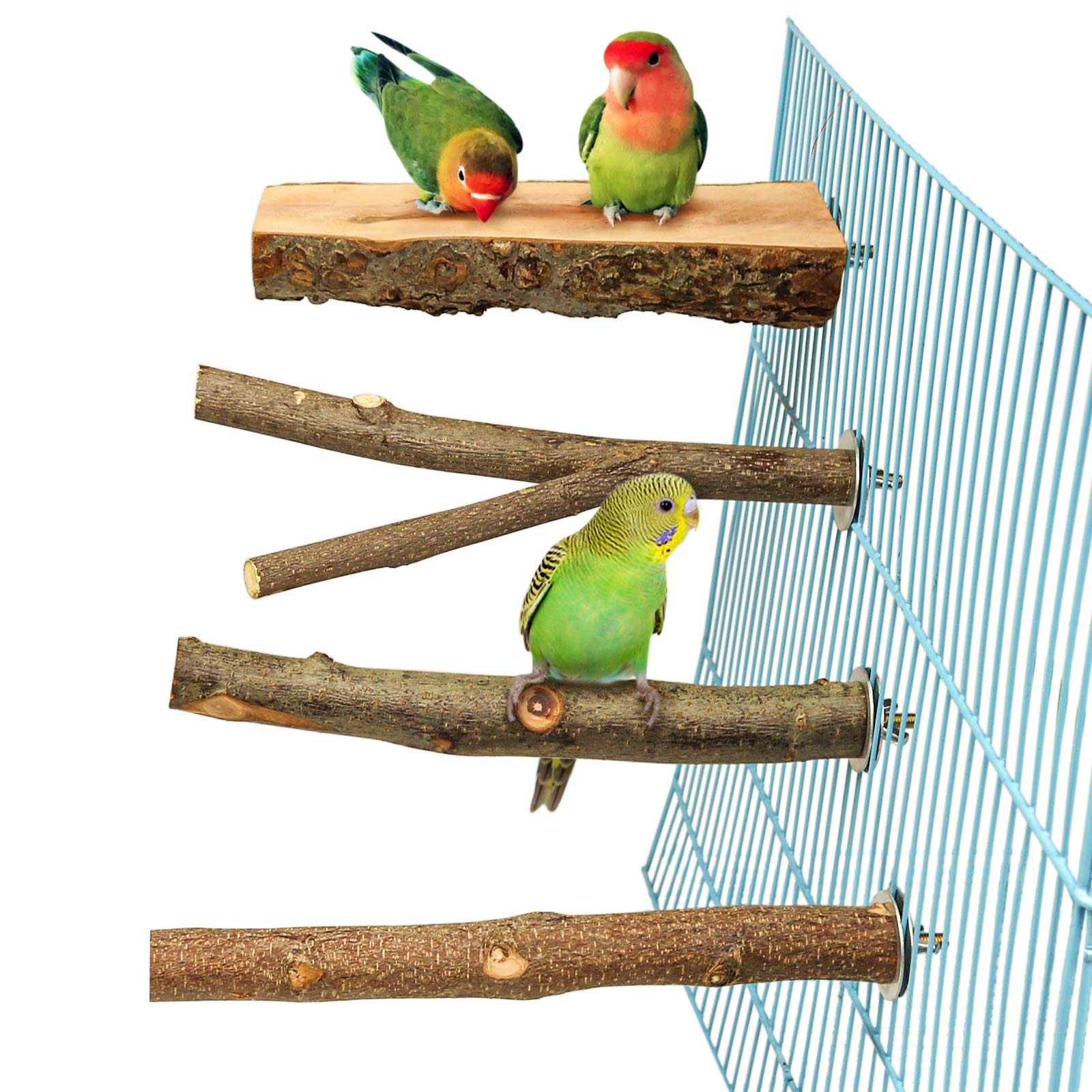Image showcasing The Best Macaw & Cockatoo Perches - All Pet Birds