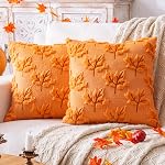 Pompe d'automne Couvertures d'oreillers à jet orange 18x18, Ensemble de 2 Décorations d'Action de grâces d ́Halloween Oreillers à l ́automne intérieur pour les fêtes de canapé Couch