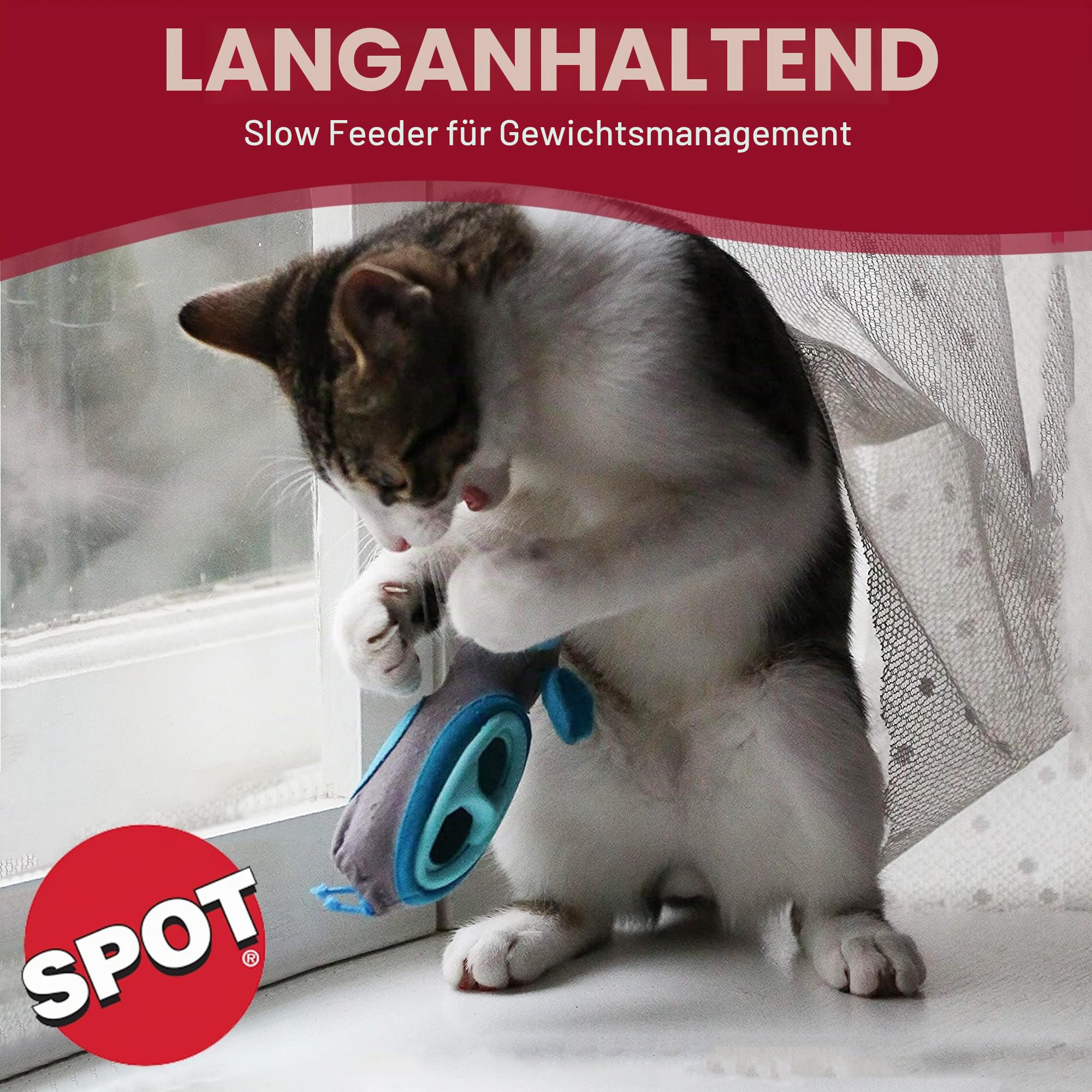 Doc & Phoebe Interaktiver Futterspender für Katzen, für den Innenbereich, Einheitsgröße