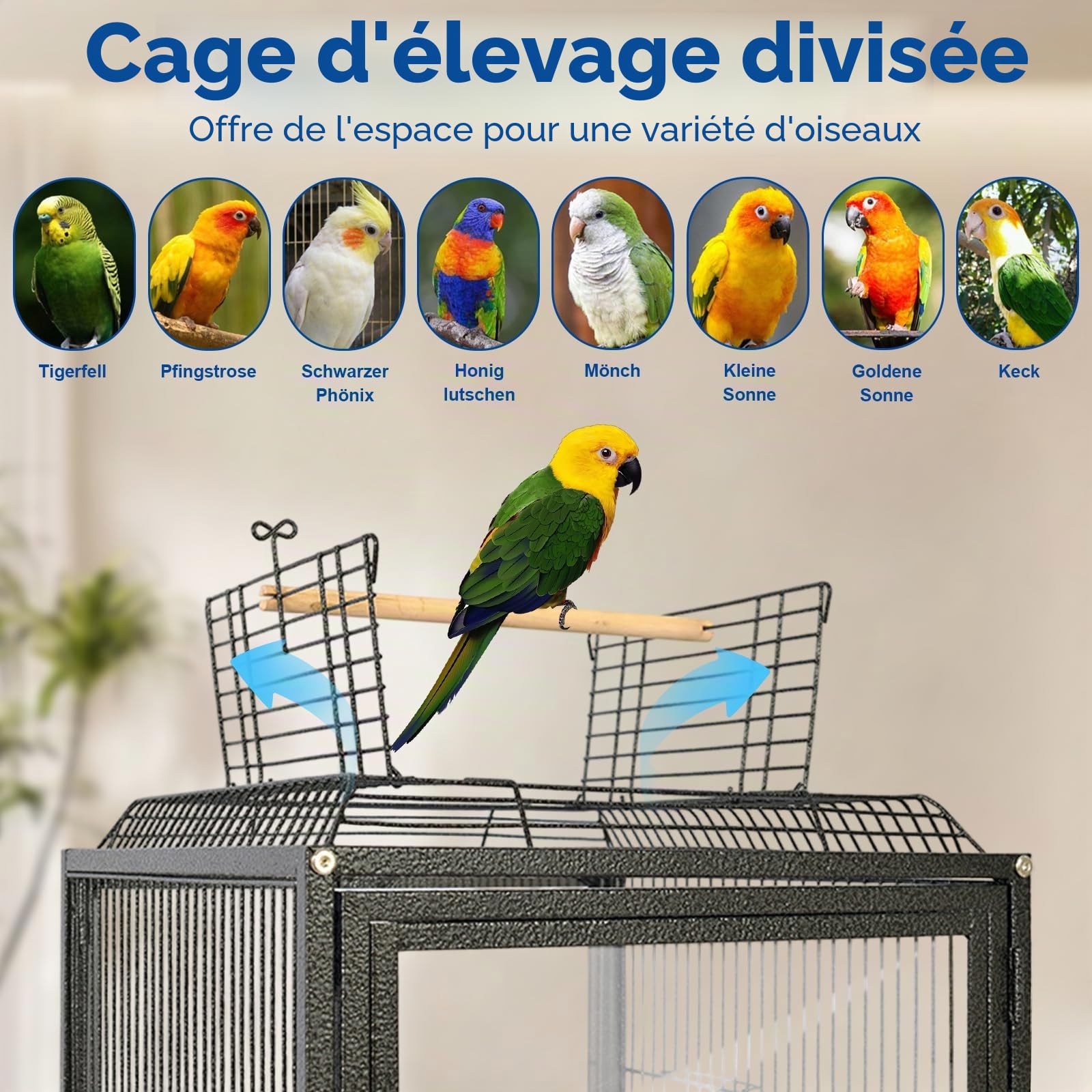 Cage à oiseaux en acrylique avec abreuvoir et 2 mangeoires à oiseaux en acrylique sur pied, plateau de fond et perchoir en bois, 46,5 x 45,5 x 102 cm