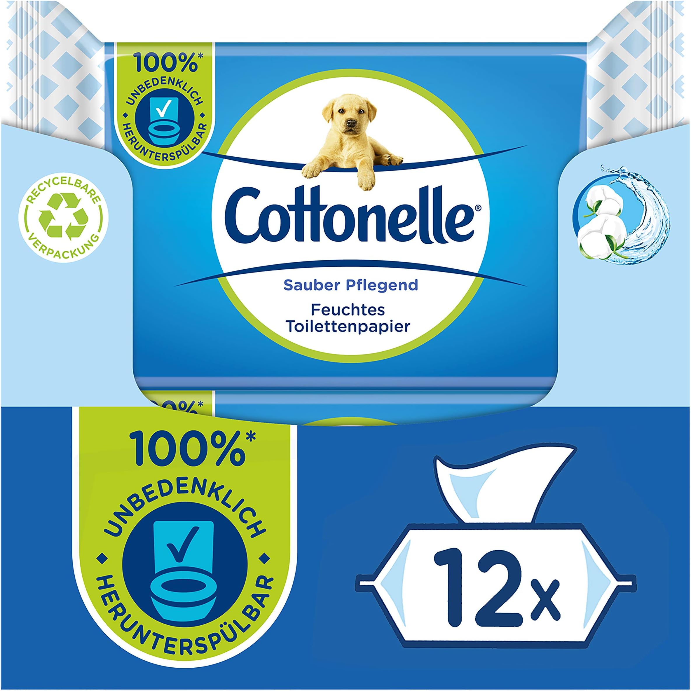 Moist Toilet Paper, Clean-Nourishing, 12 x 42 Wipes, 2.16 kg
