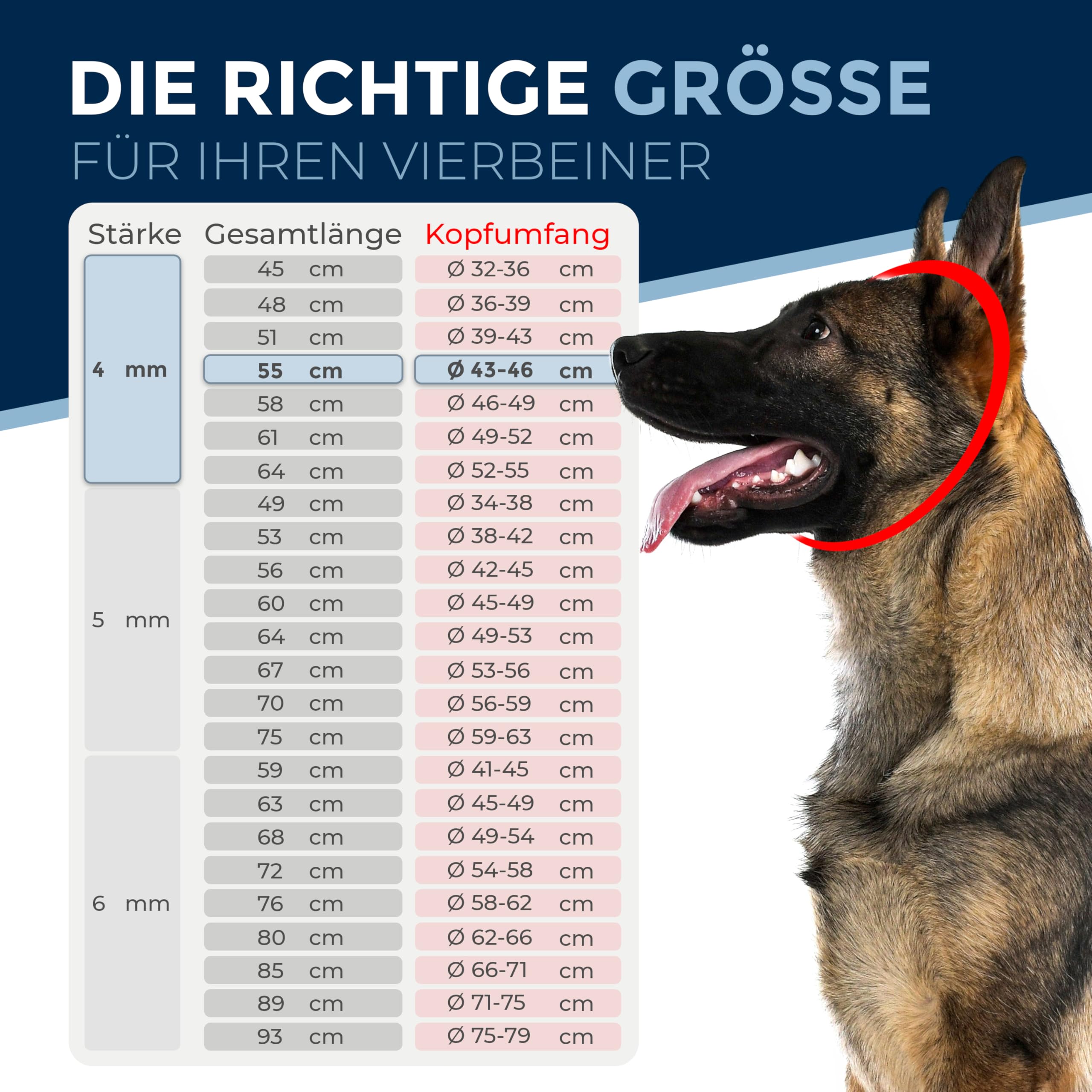 Collare addestramento cane acciaio inox V4A Ø4 mm – lunghezza 48 cm (totale) – per testa 36–39 cm – maglia lunga con limitatore di trazione