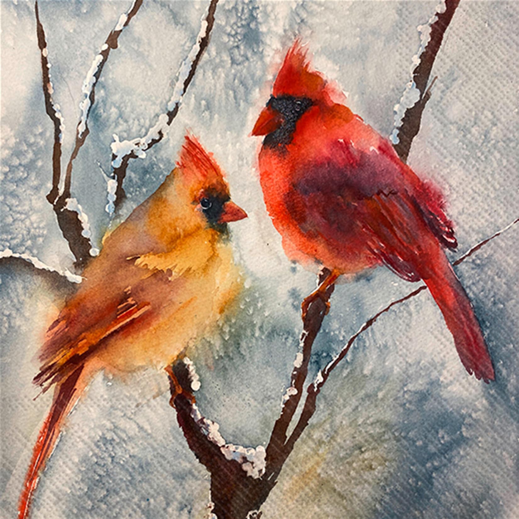 IHR Ideal Home Range Cocktail Napkins Disposable 3-Ply Paper Party Napkin Pack, 5" x 5", She & He, 20-Count