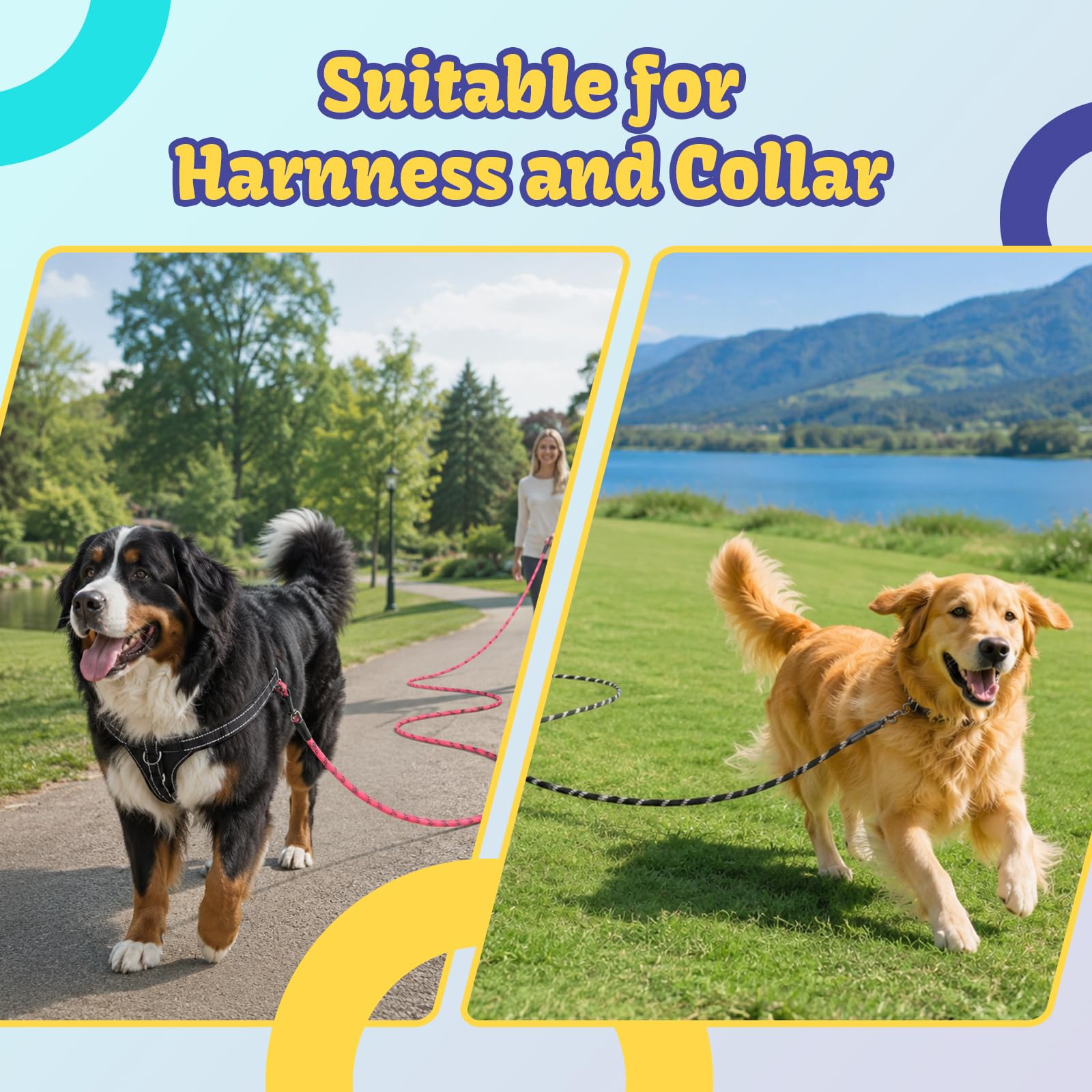 2 correas de entrenamiento para perros medianos y grandes, 20 pies de largo, color negro