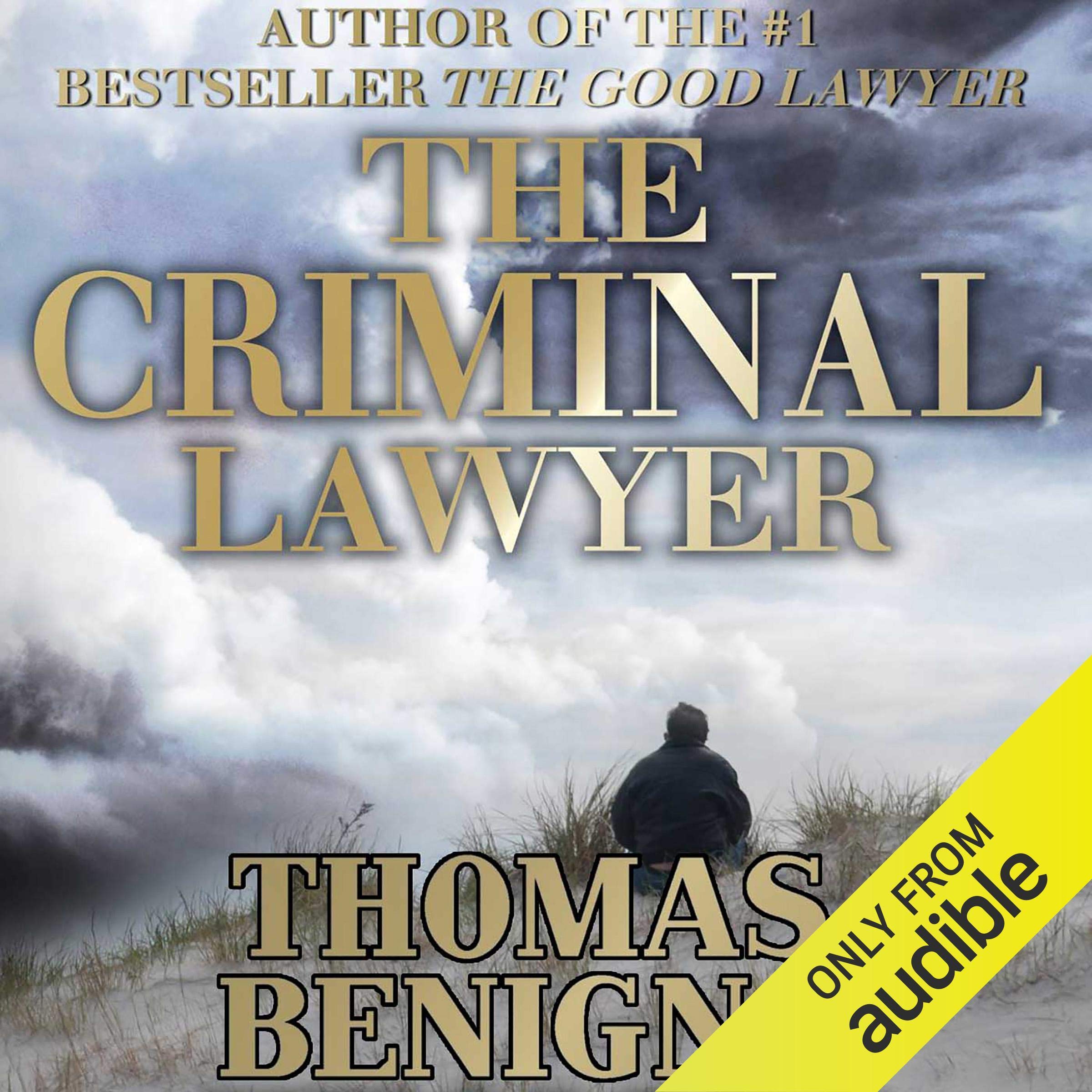 Cover art for The Criminal Lawyer