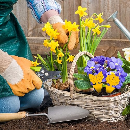 Miniatura 5 de 24 trampas adhesivas para moscas de la fruta, trampas para mosquitos de hongos, trampas para insectos para plantas, cocina, interiores y exteriores